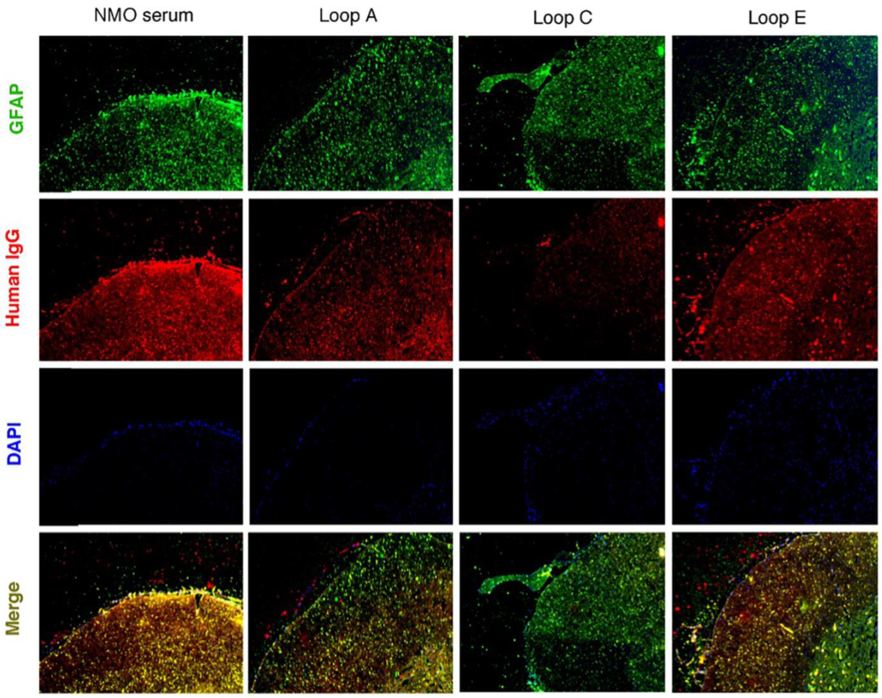 Molecules 28 01412 g002 Molecules 28 01412 g002