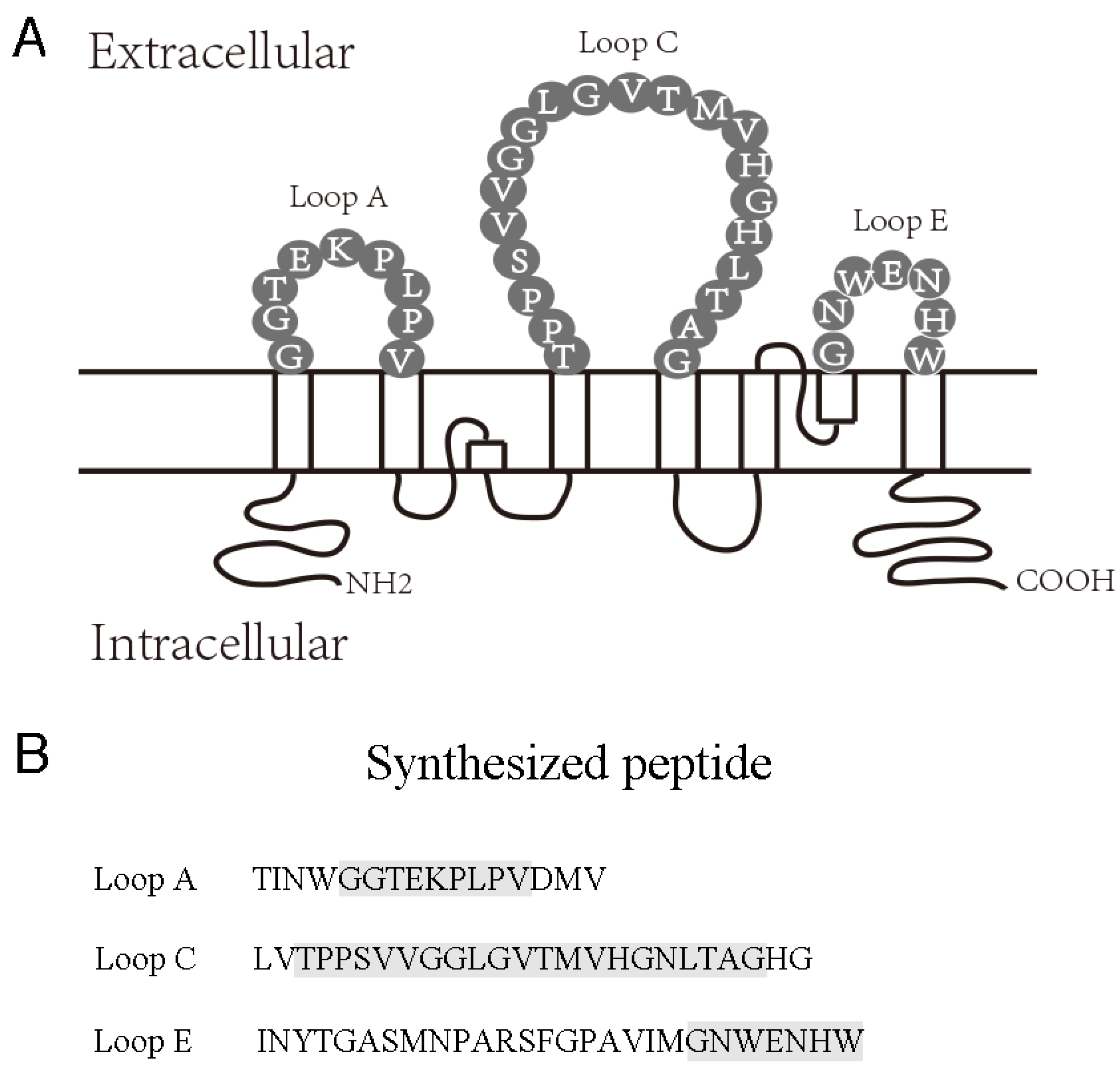 Molecules 28 01412 g005 Molecules 28 01412 g005