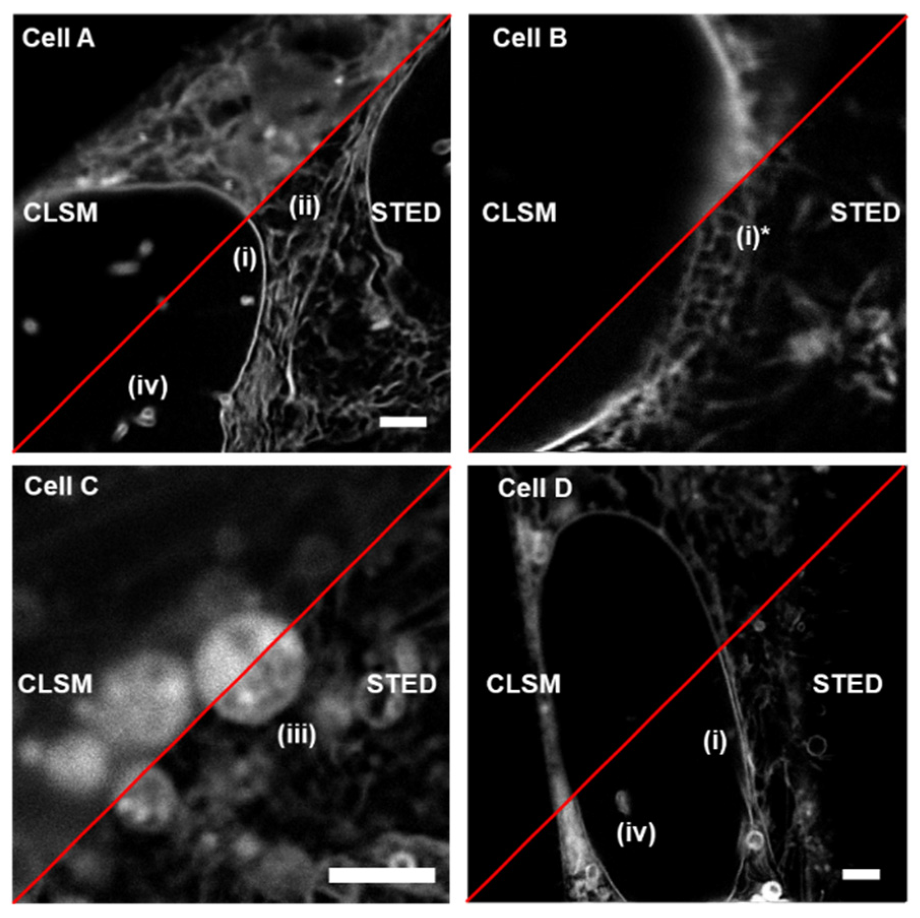 Molecules 28 01415 g005 Molecules 28 01415 g005