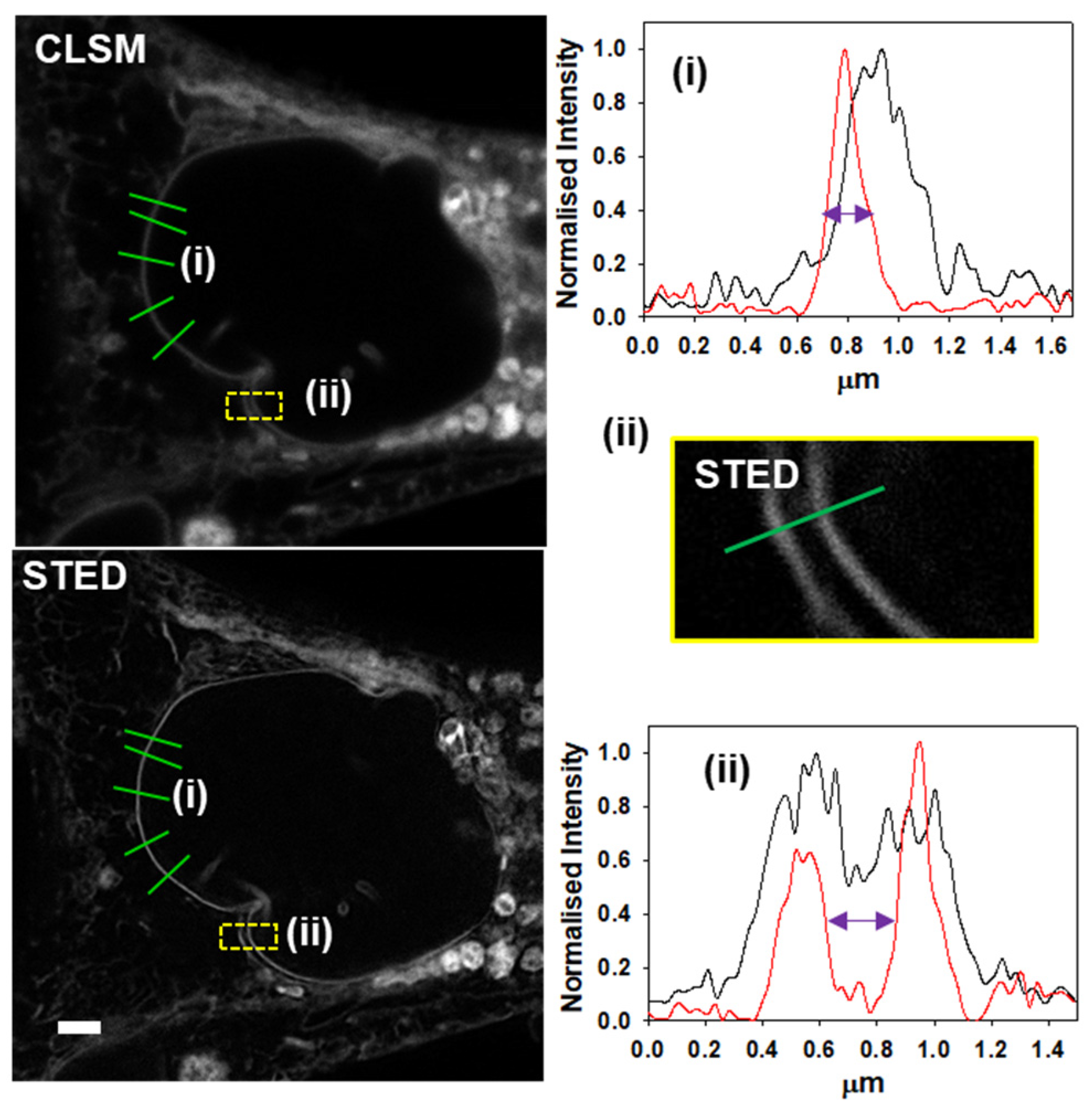 Molecules 28 01415 g006 Molecules 28 01415 g006