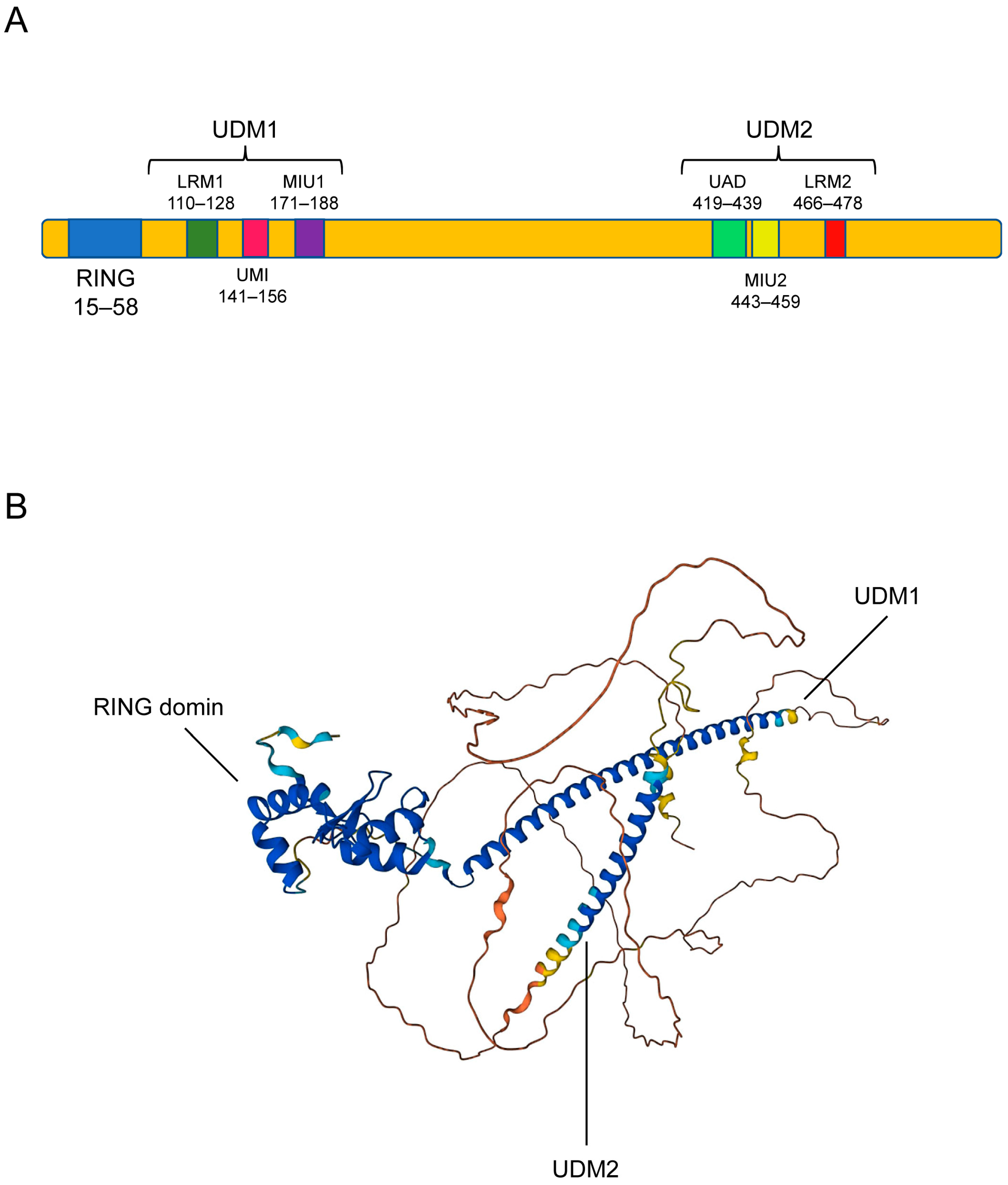 Molecules 28 01417 g003