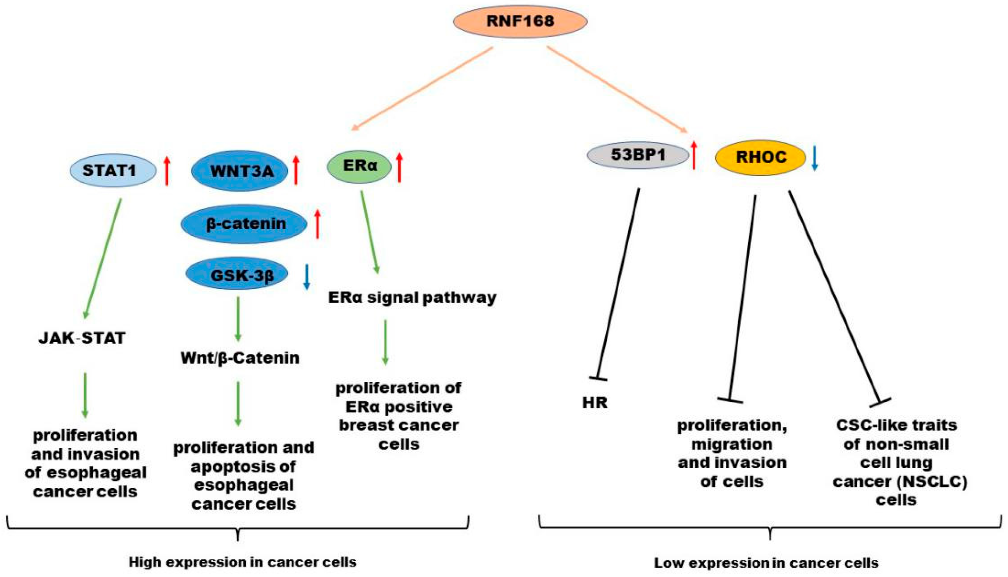 Molecules 28 01417 g006