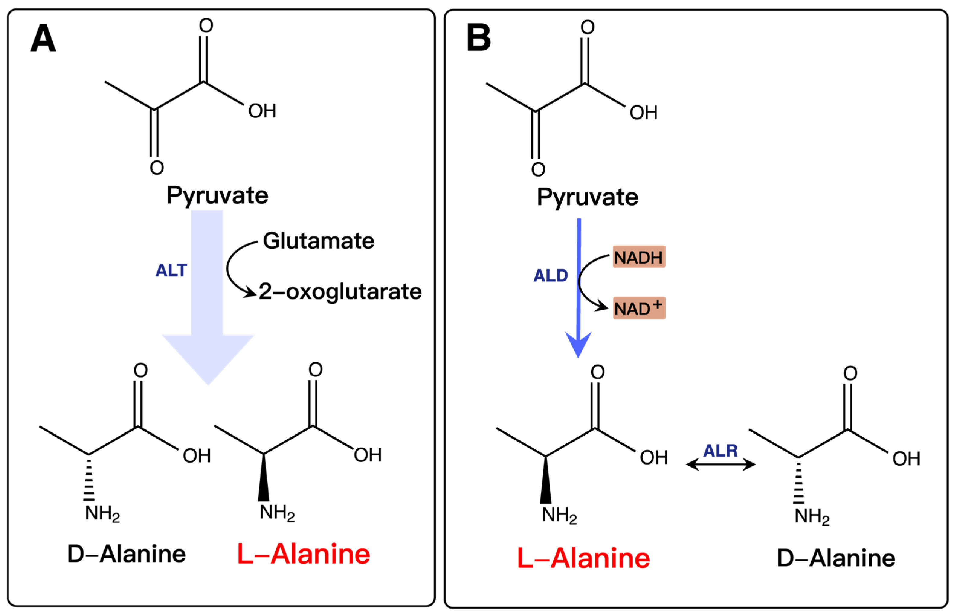 Molecules 28 01418 g005 Molecules 28 01418 g005