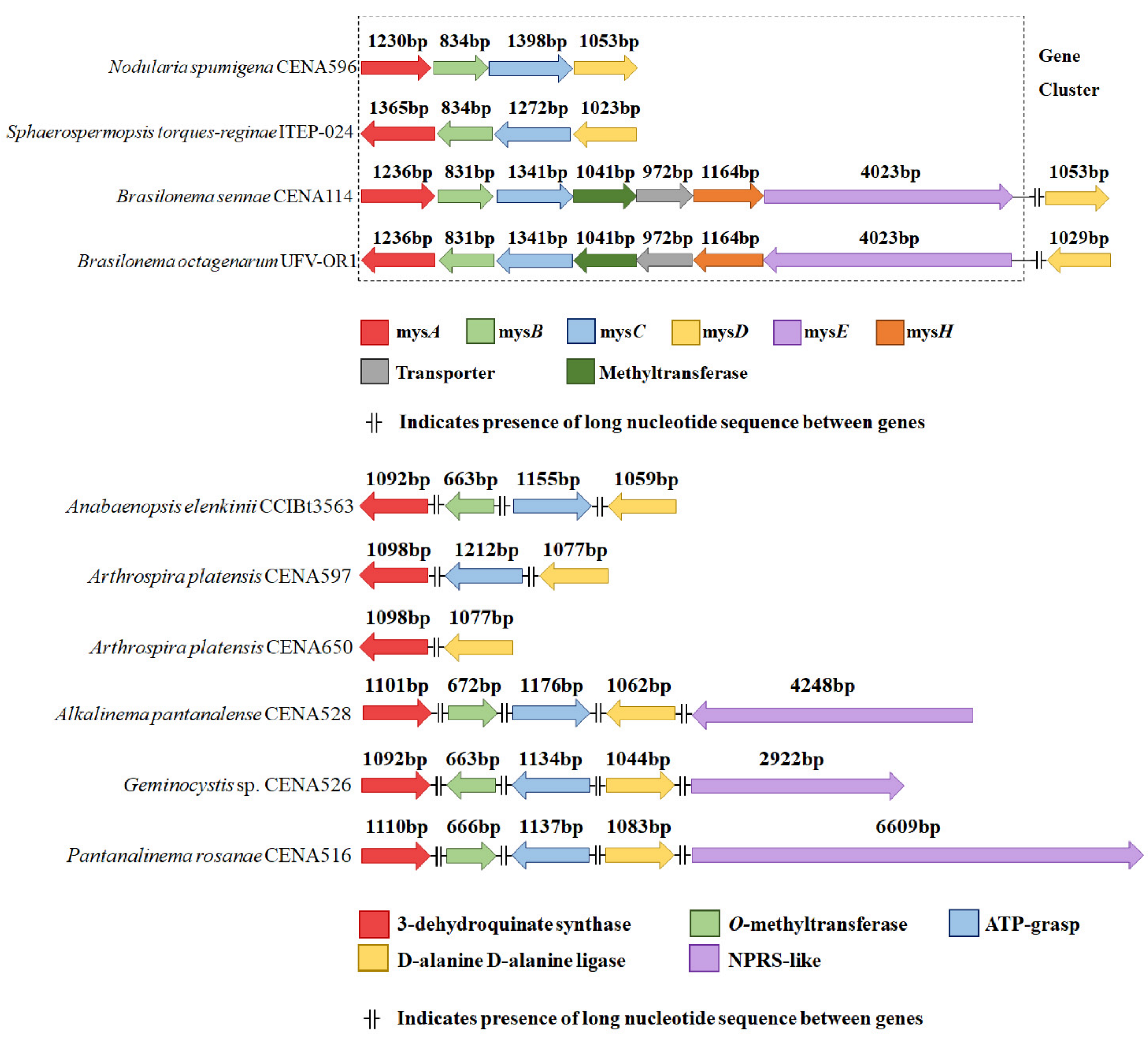 Molecules 28 01420 g001