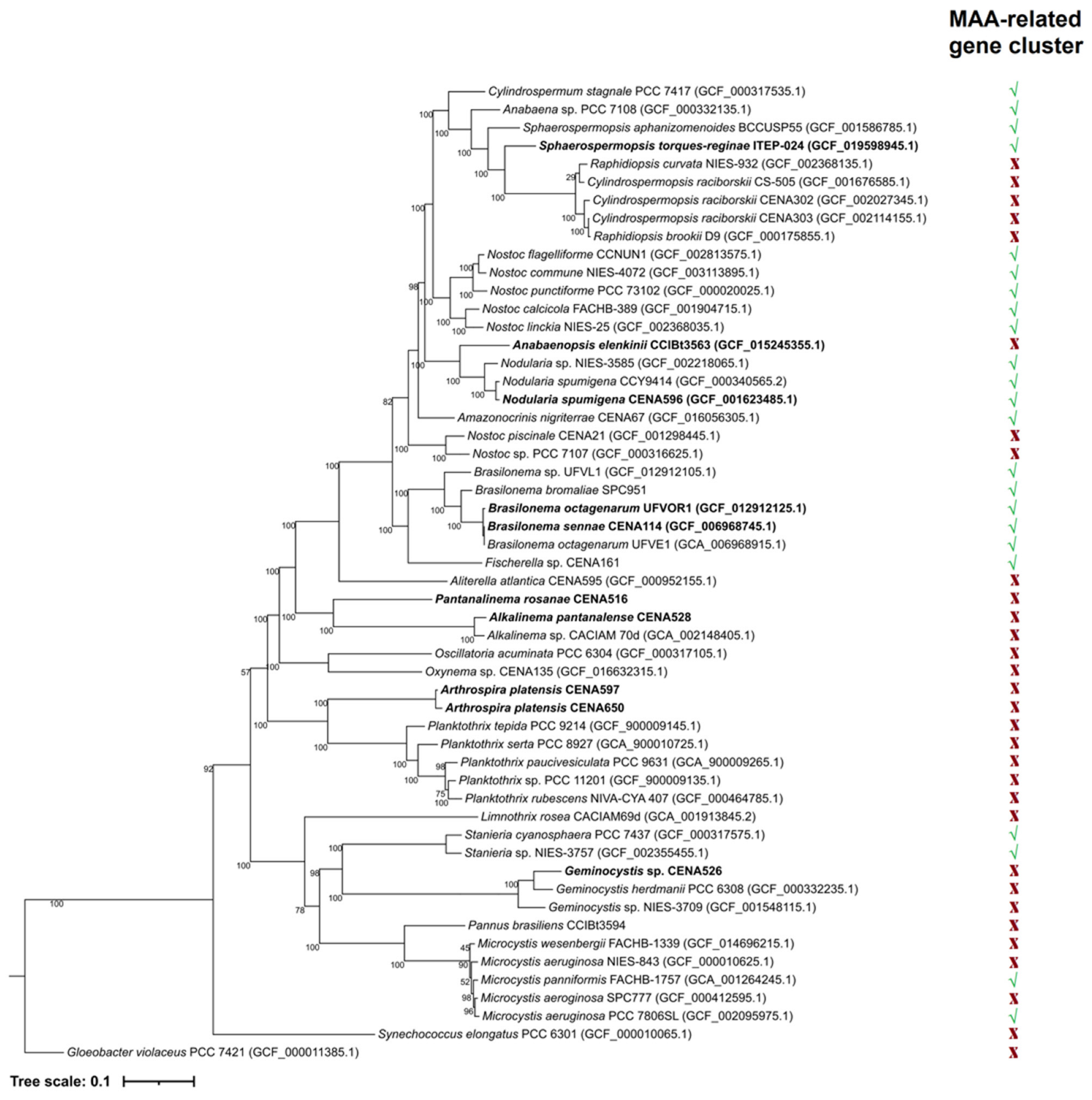 Molecules 28 01420 g002