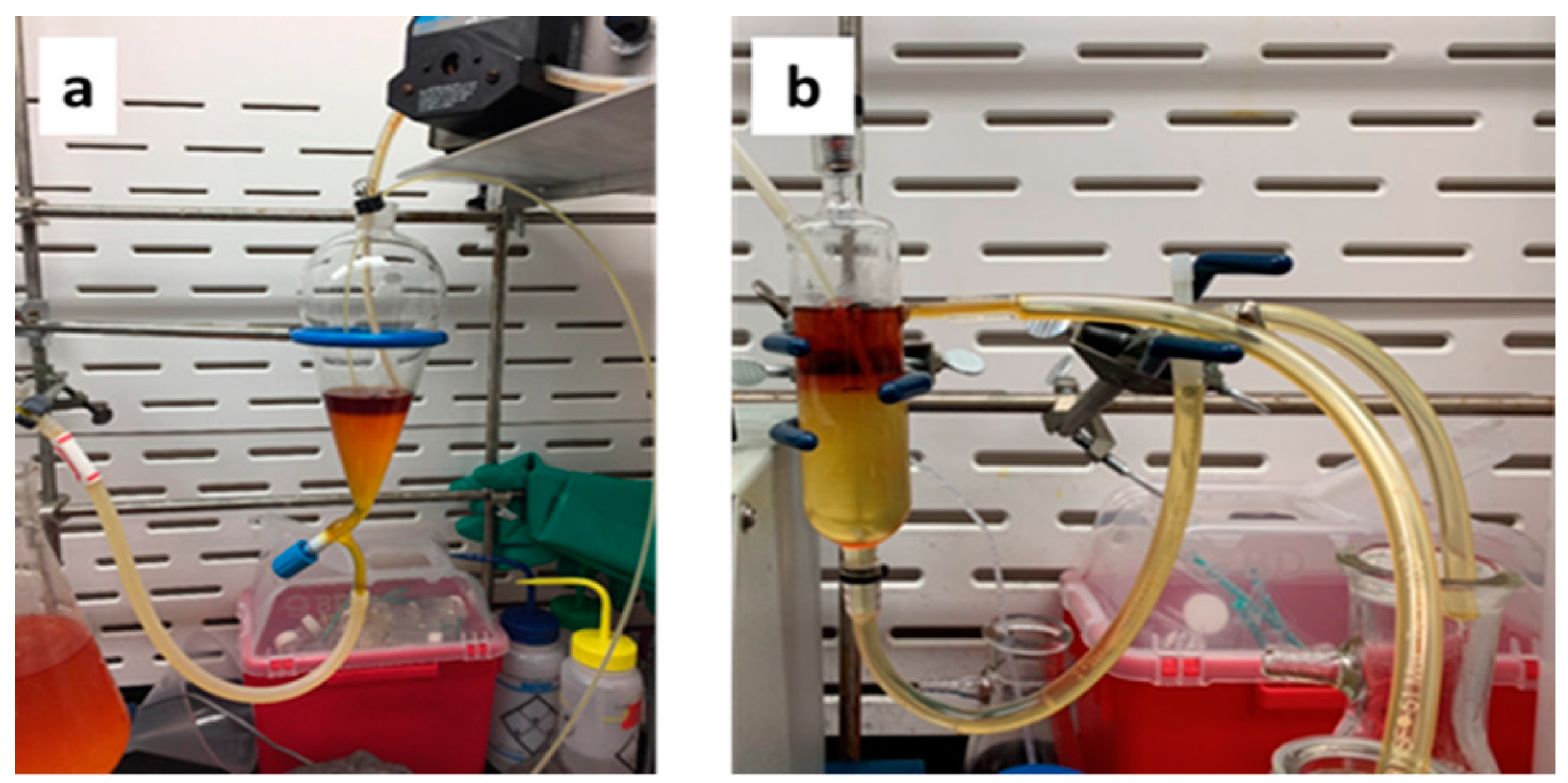 Molecules 28 01421 g004