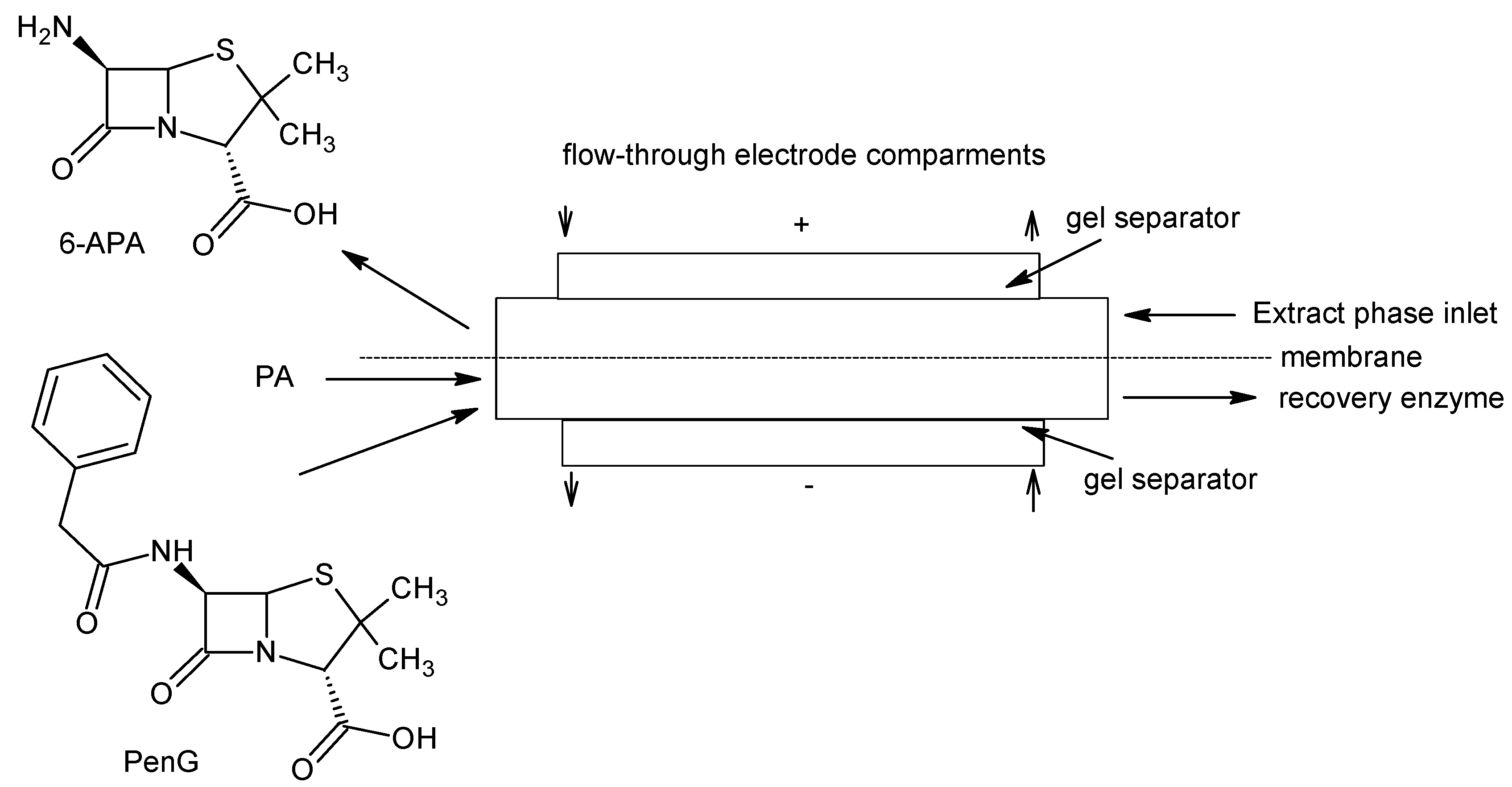 Molecules 28 01421 sch010