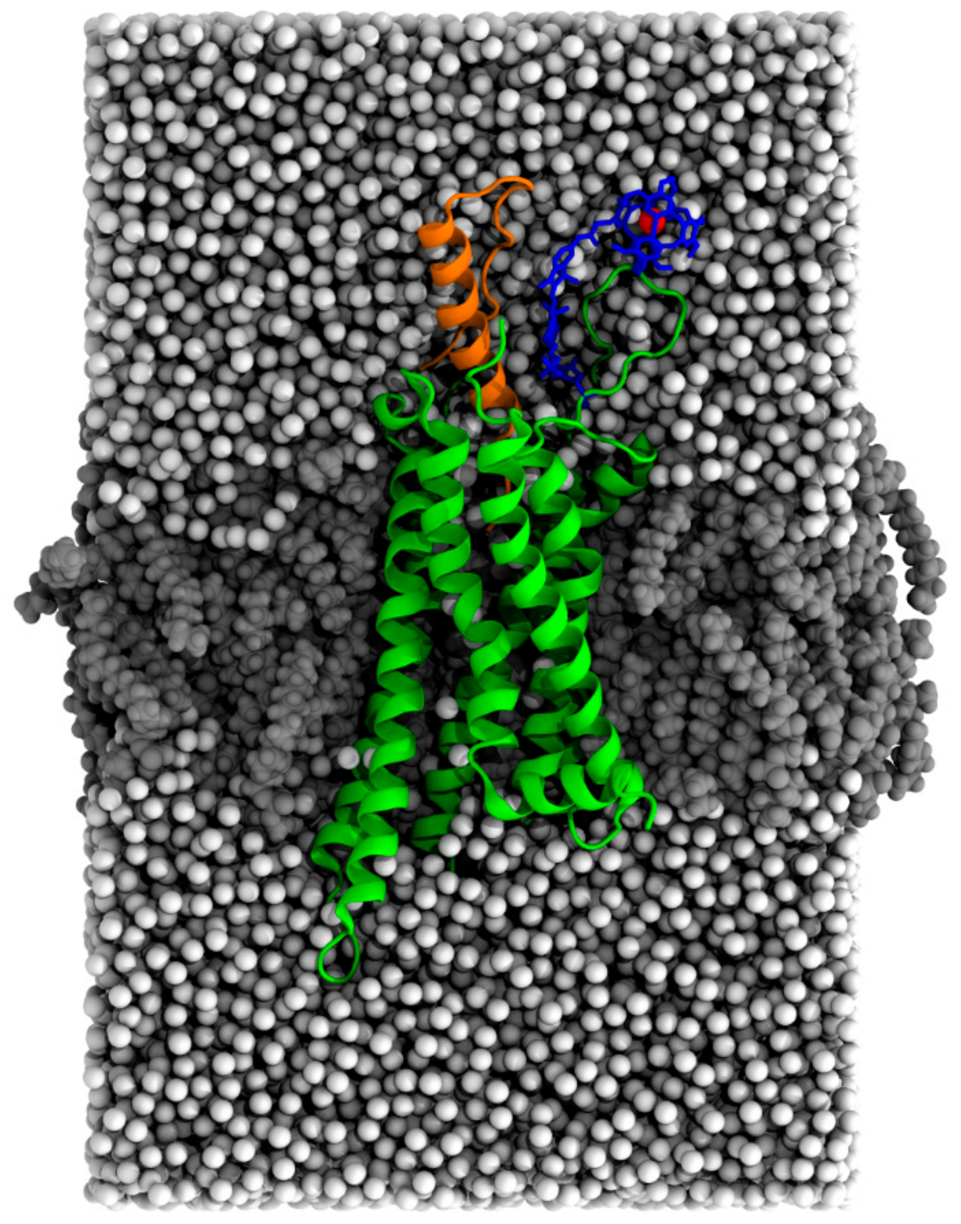 Molecules 28 01424 g004