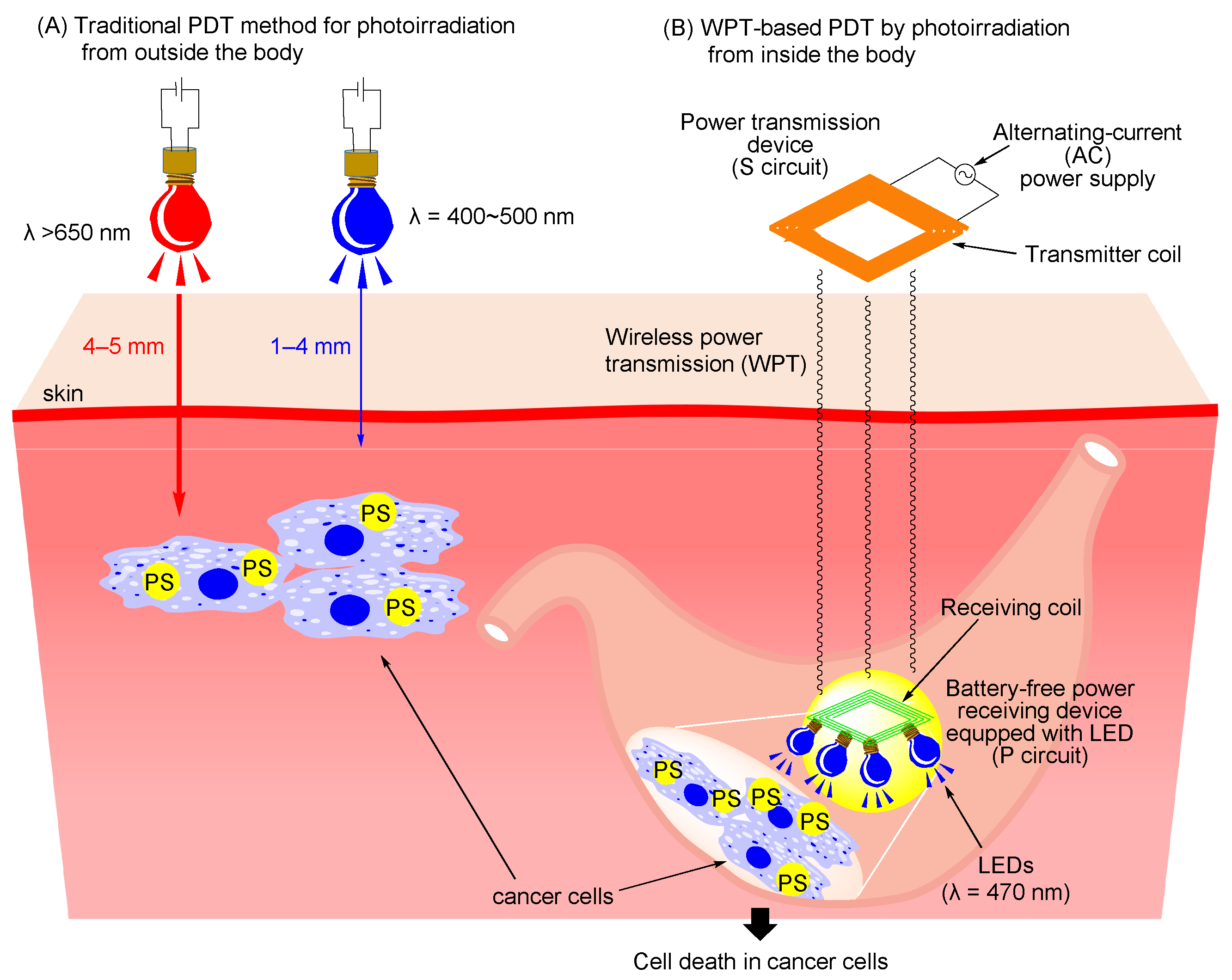 Molecules 28 01433 g001 Molecules 28 01433 g001
