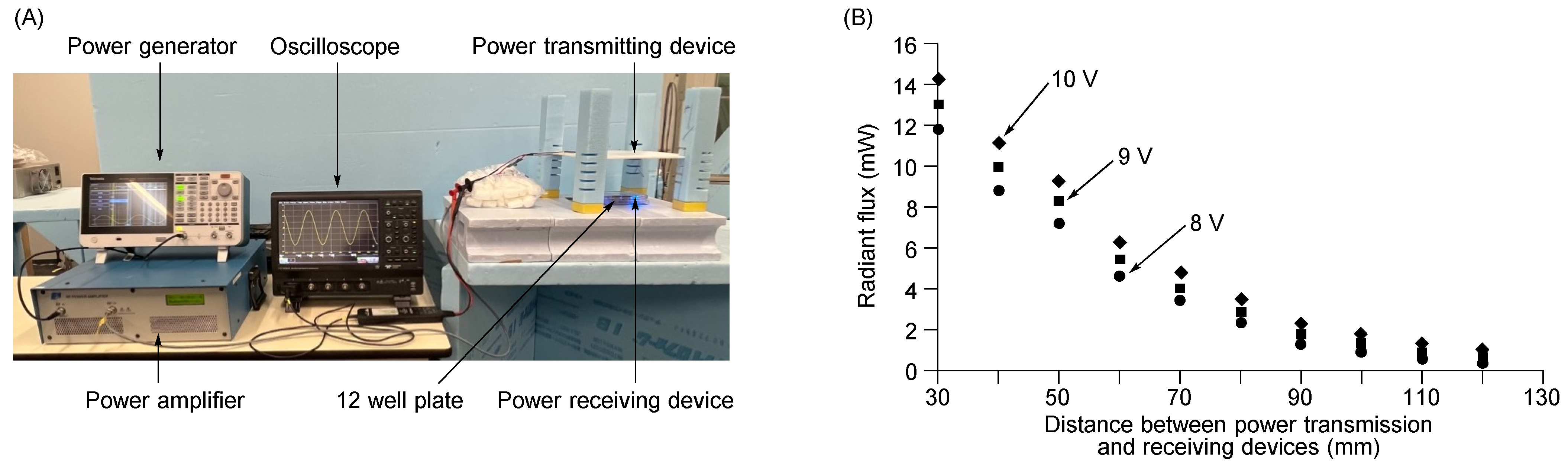 Molecules 28 01433 g003 Molecules 28 01433 g003