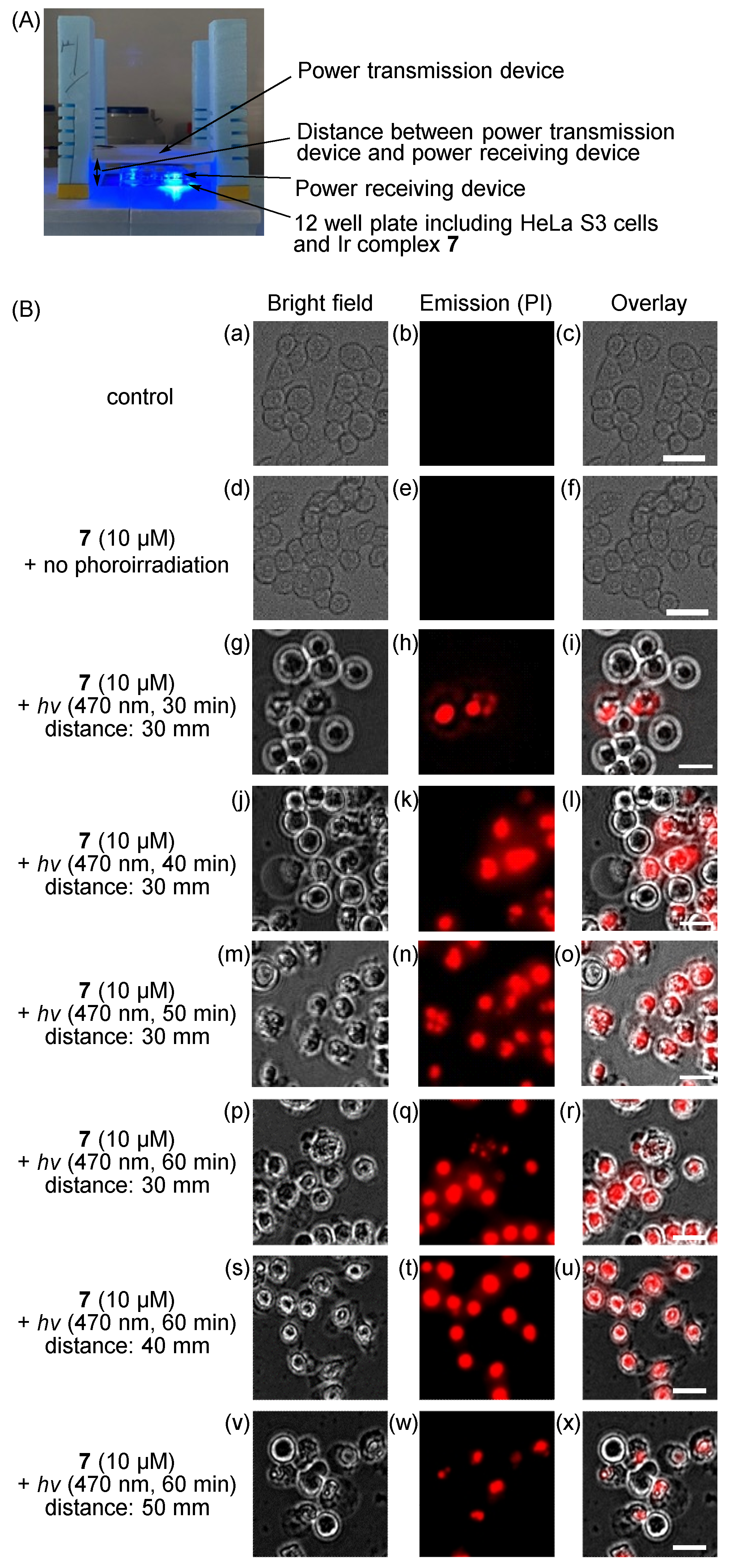 Molecules 28 01433 g005 Molecules 28 01433 g005