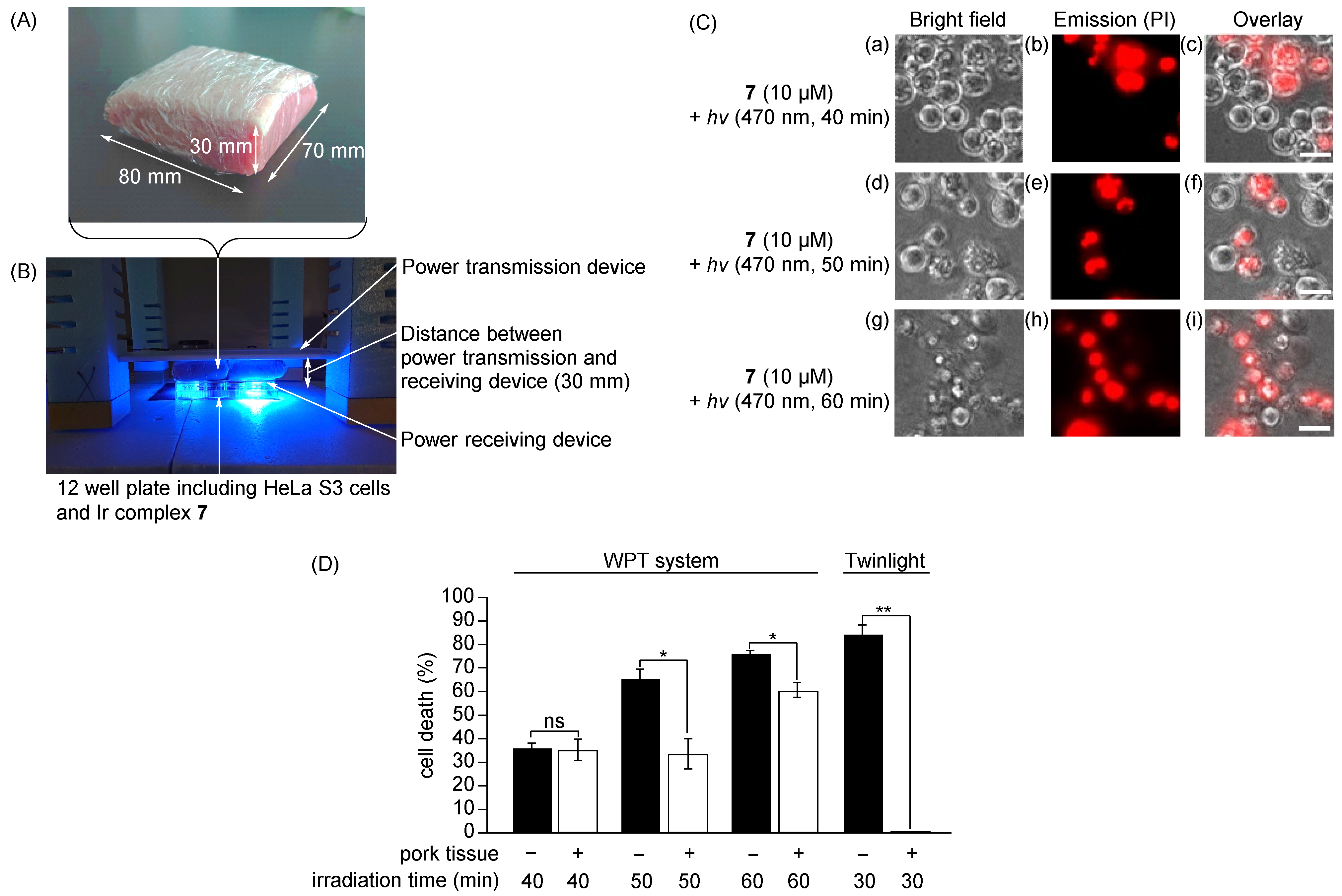 Molecules 28 01433 g007 Molecules 28 01433 g007
