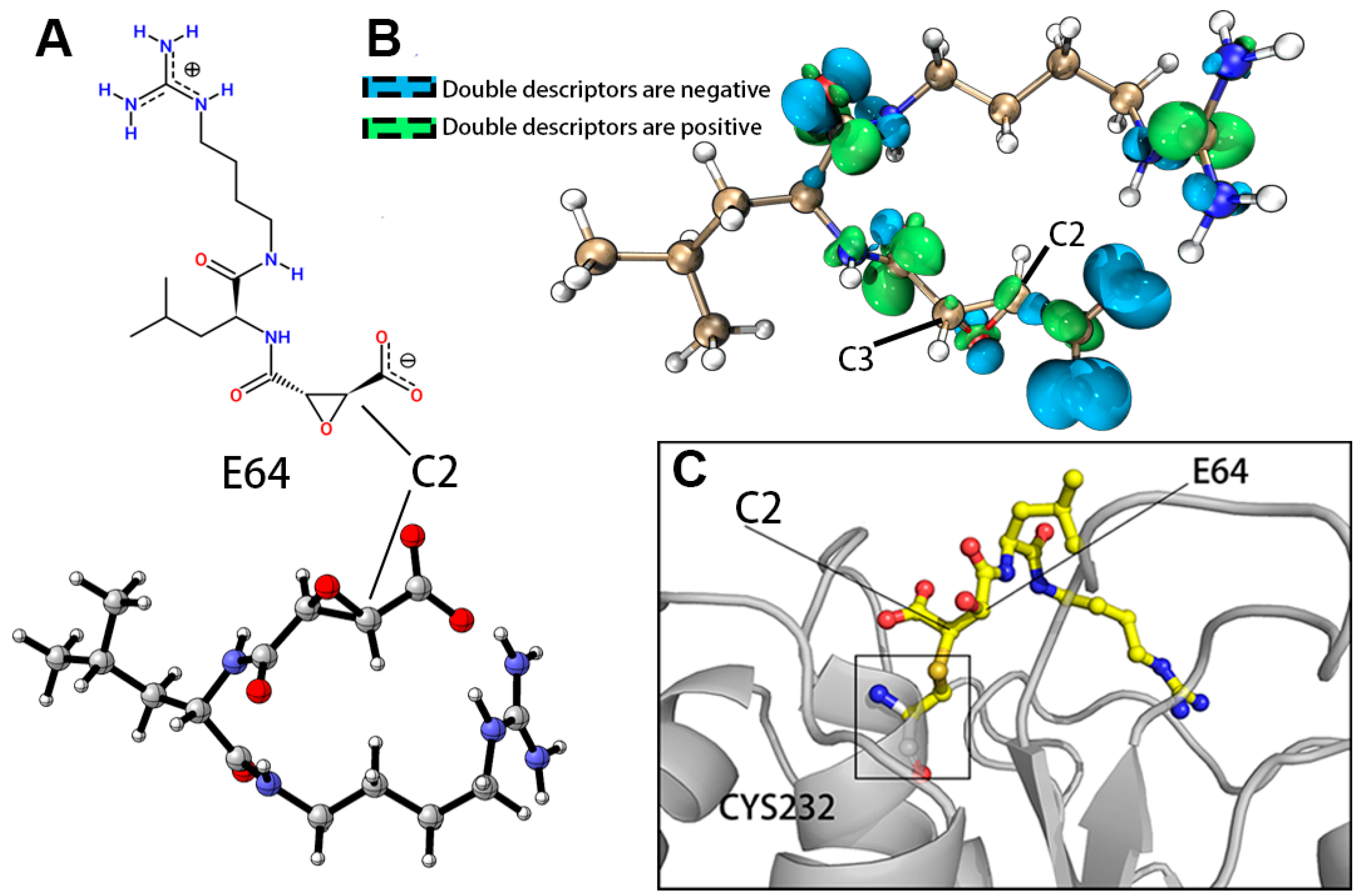 Molecules 28 01435 g002