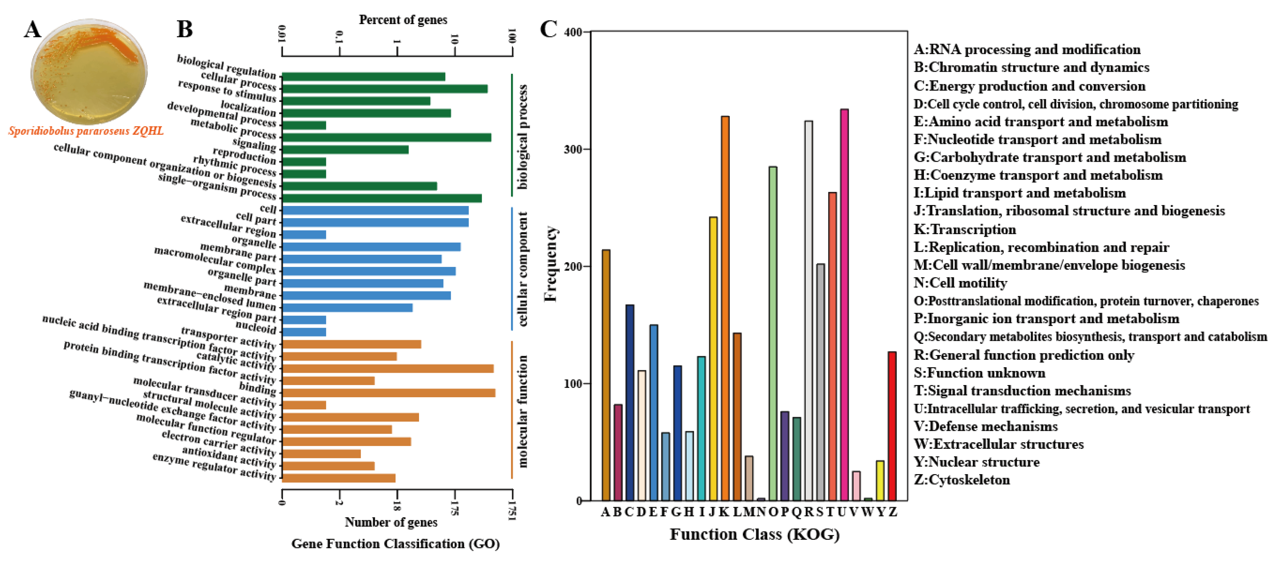 Molecules 28 01436 g002