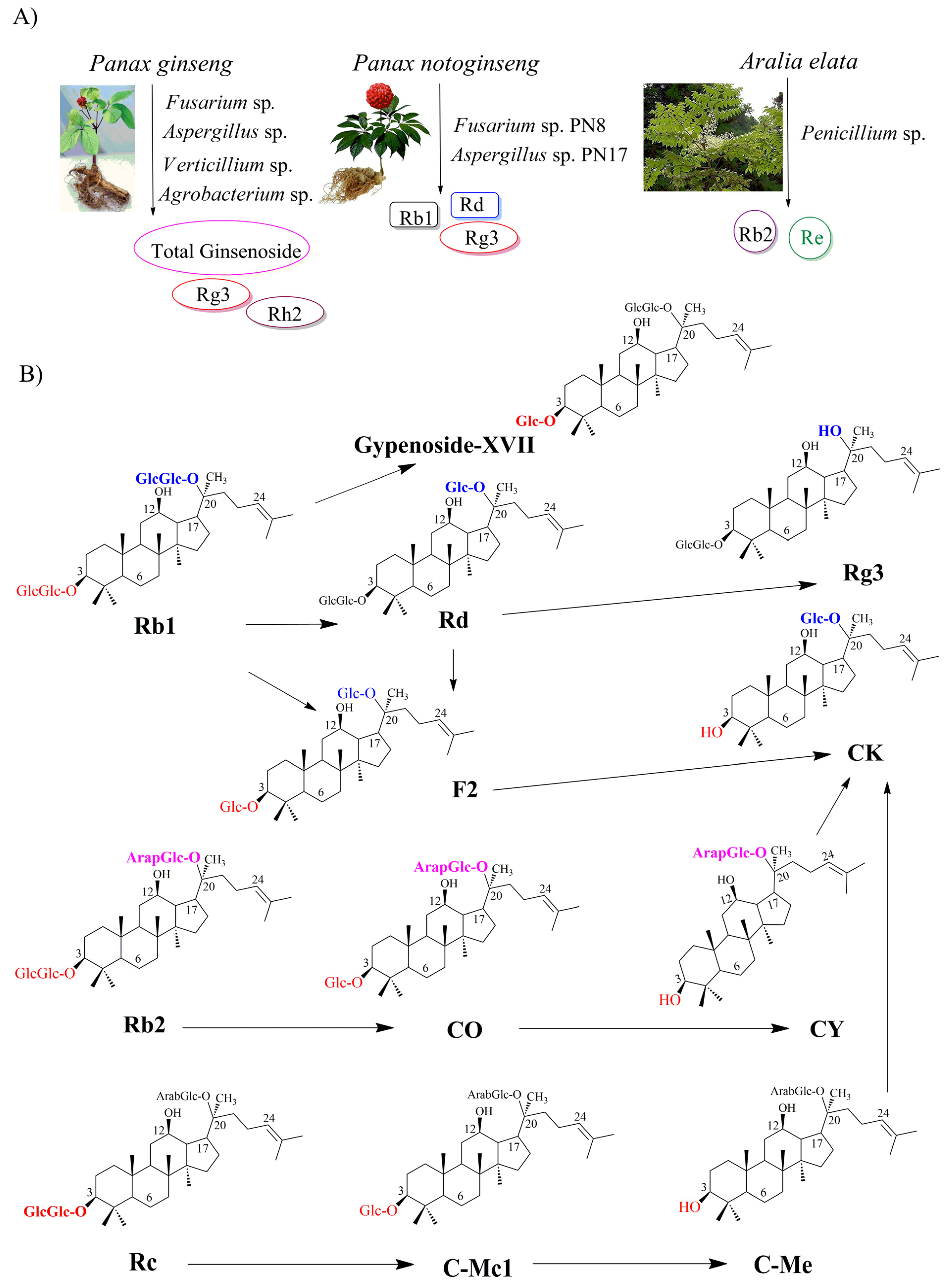 Molecules 28 01437 g002 Molecules 28 01437 g002