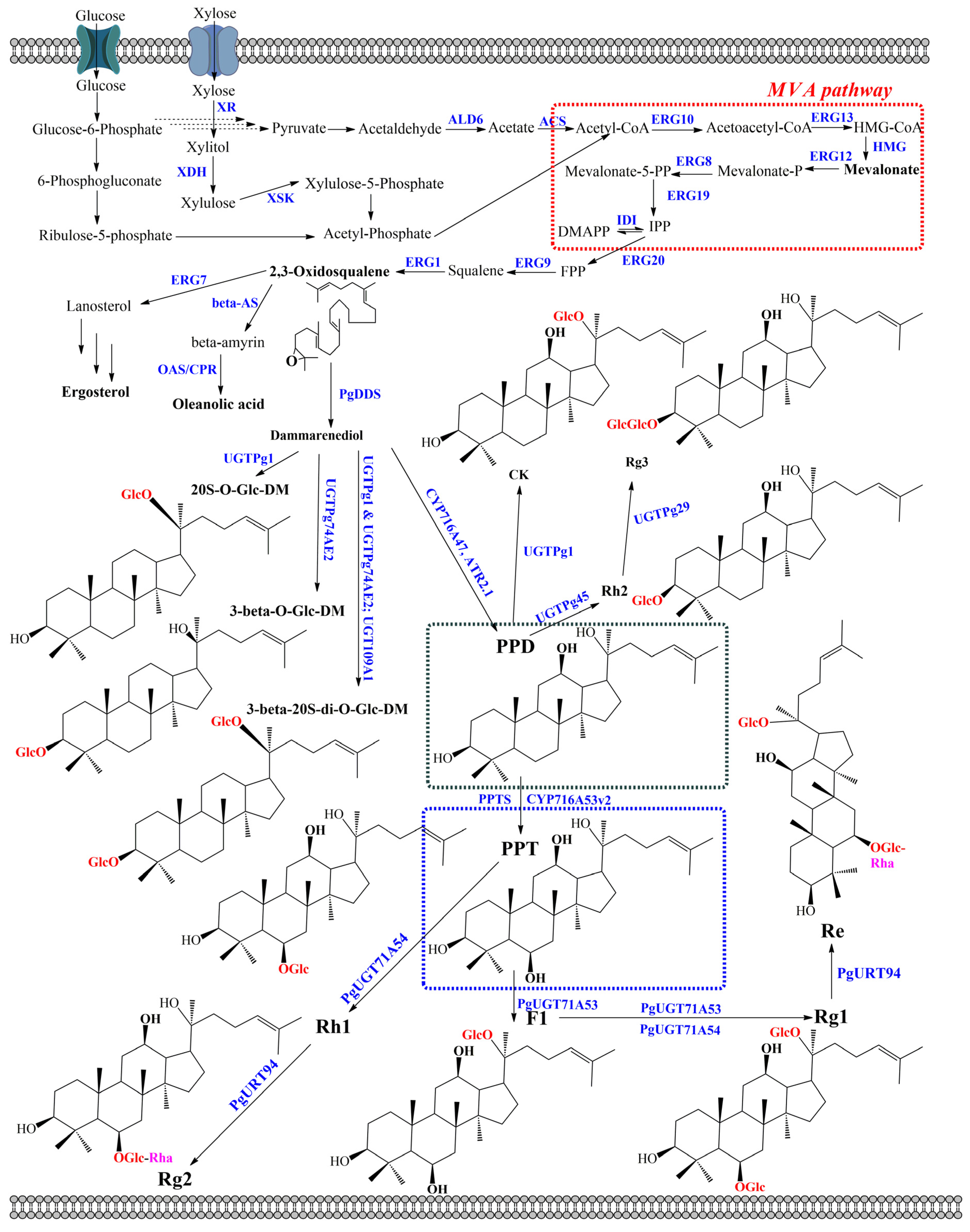 Molecules 28 01437 g003 Molecules 28 01437 g003
