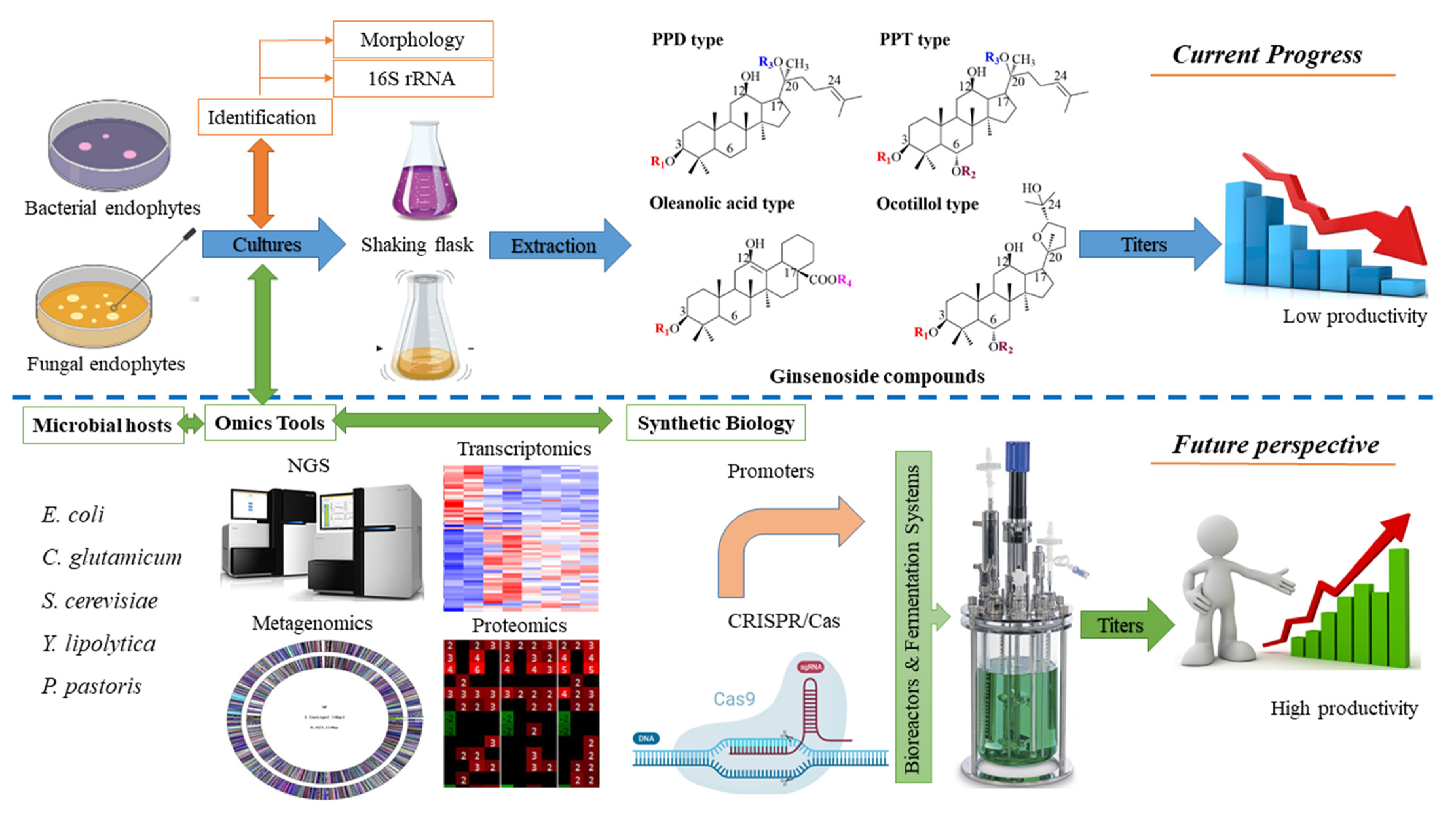 Molecules 28 01437 g004 Molecules 28 01437 g004