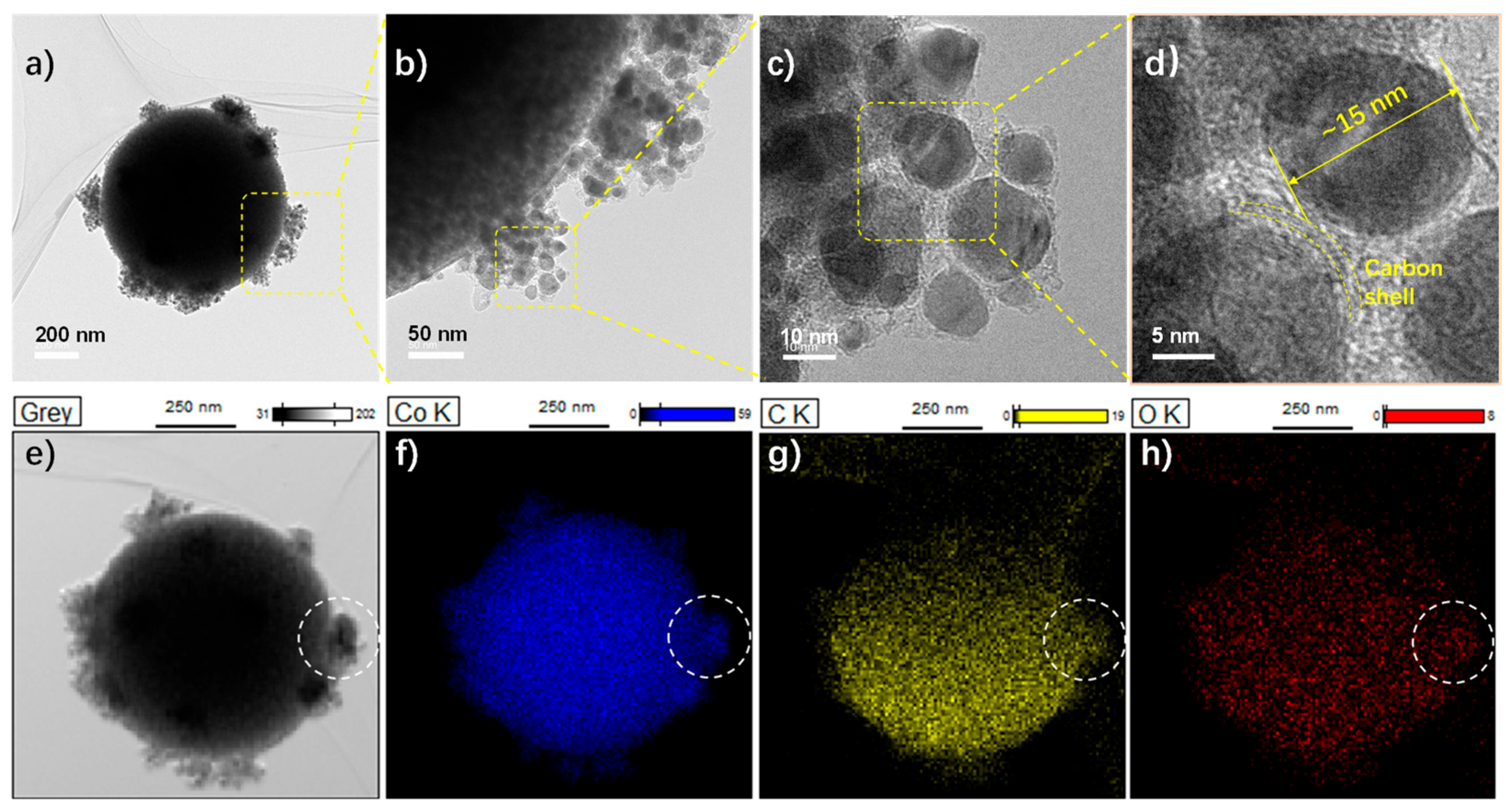 Molecules 28 01440 g003