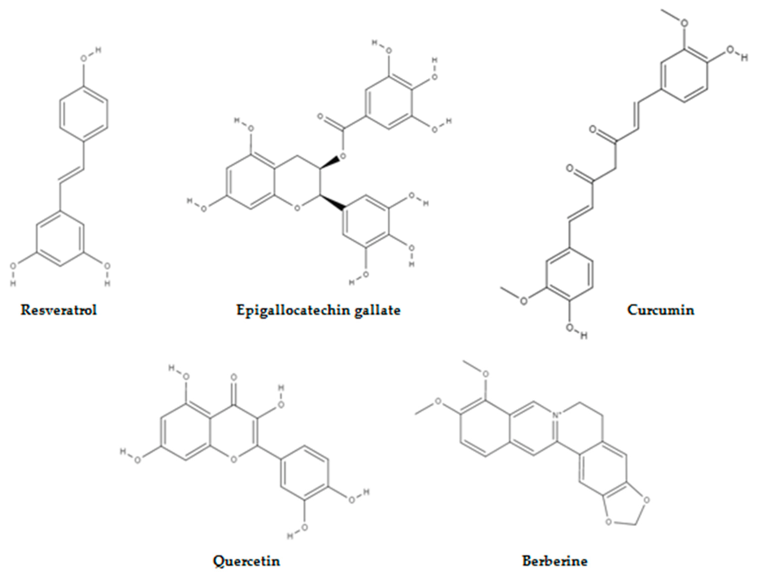 Molecules 28 01441 g001