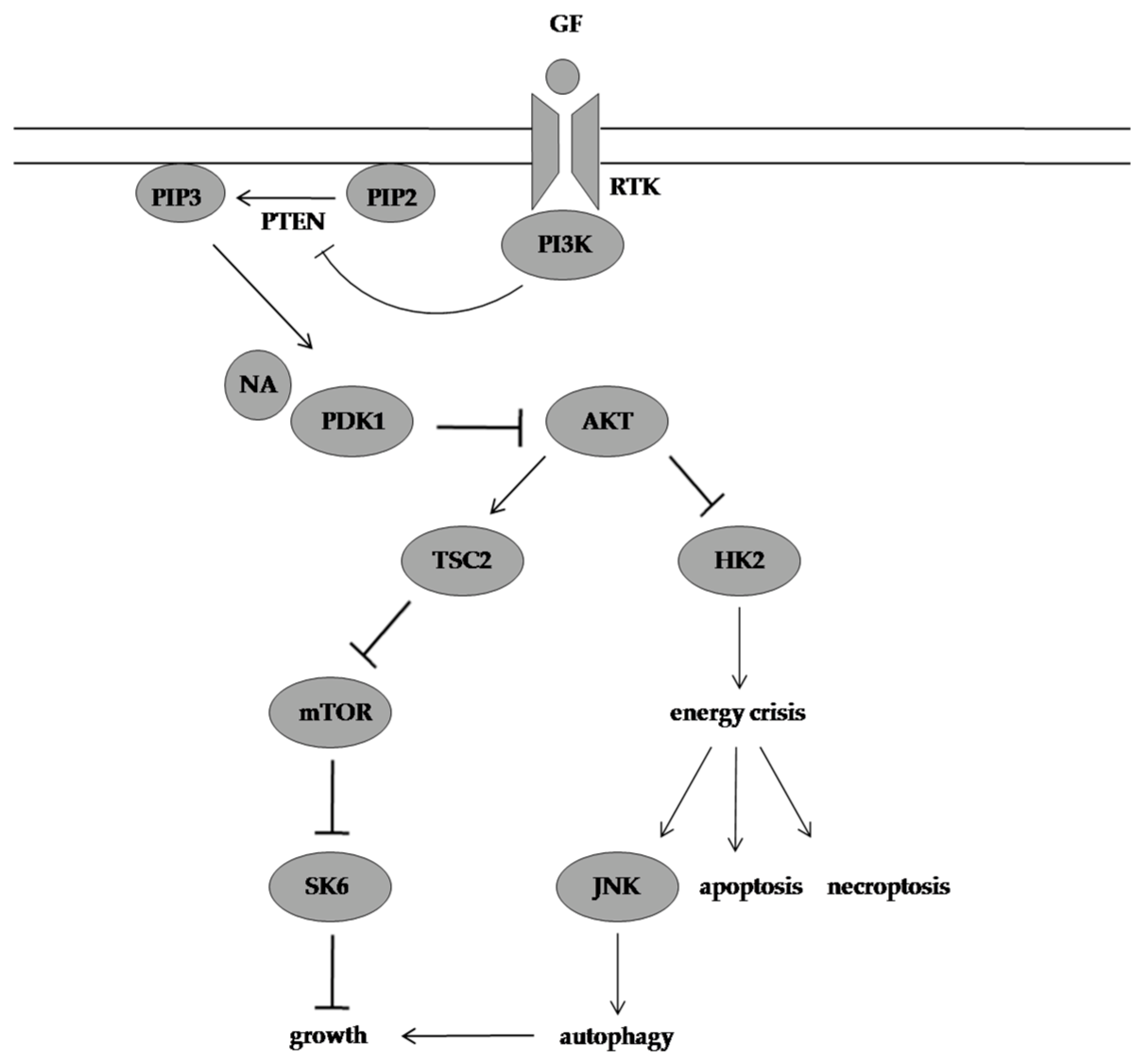 Molecules 28 01441 g004