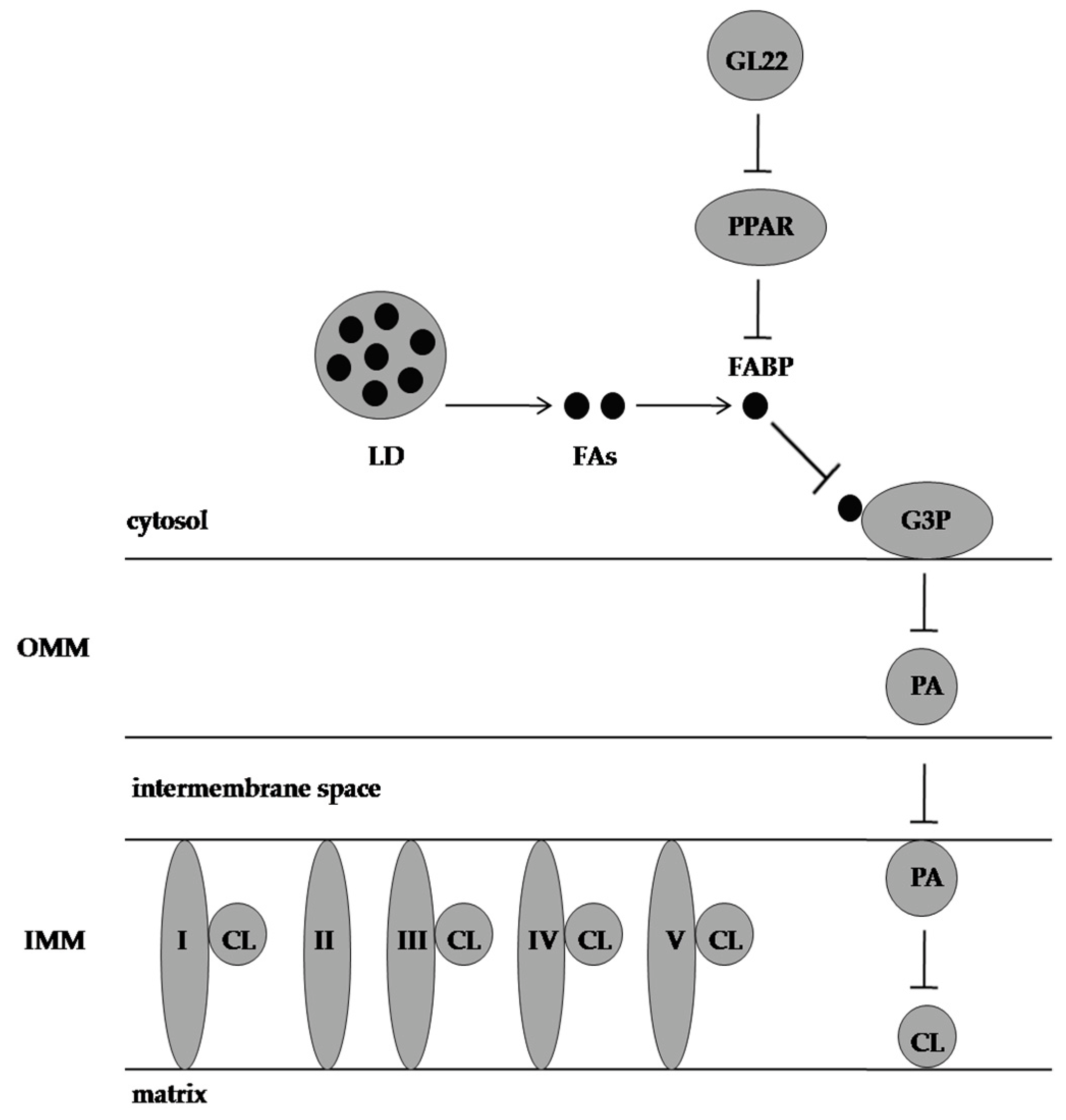 Molecules 28 01441 g005