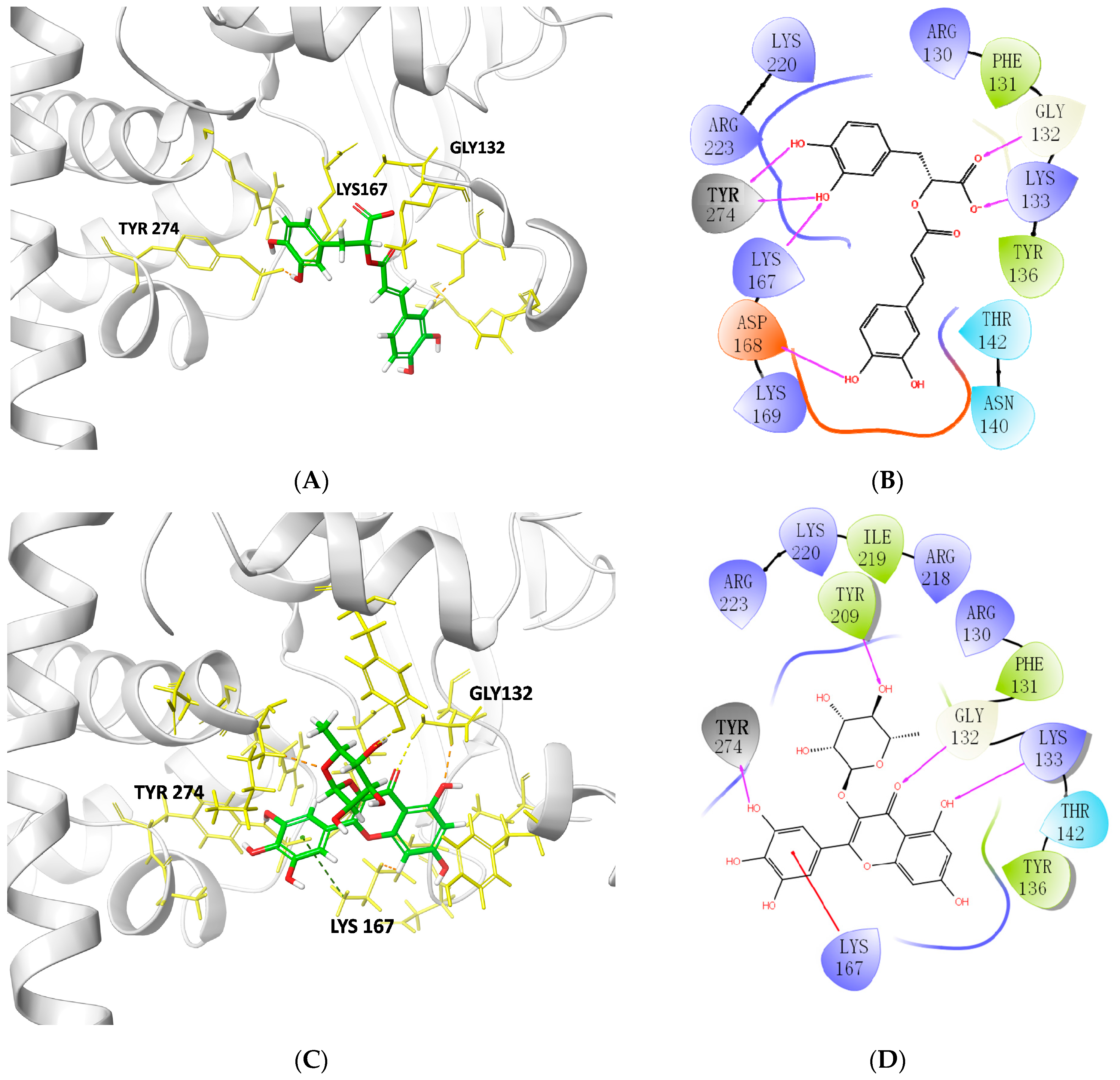 Molecules 28 01444 g003a Molecules 28 01444 g003a