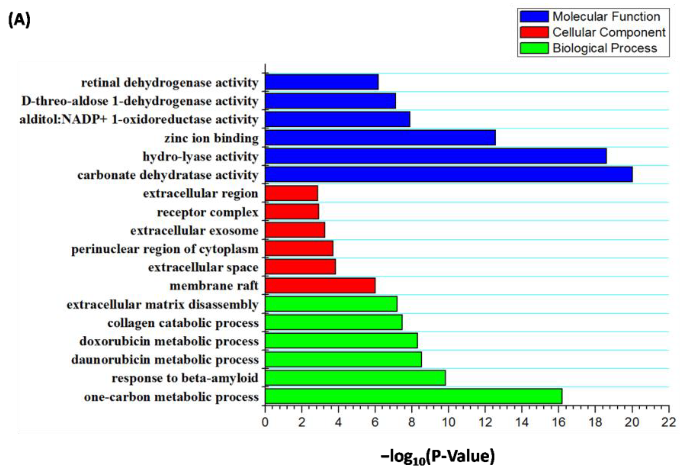 Molecules 28 01444 g007a Molecules 28 01444 g007a
