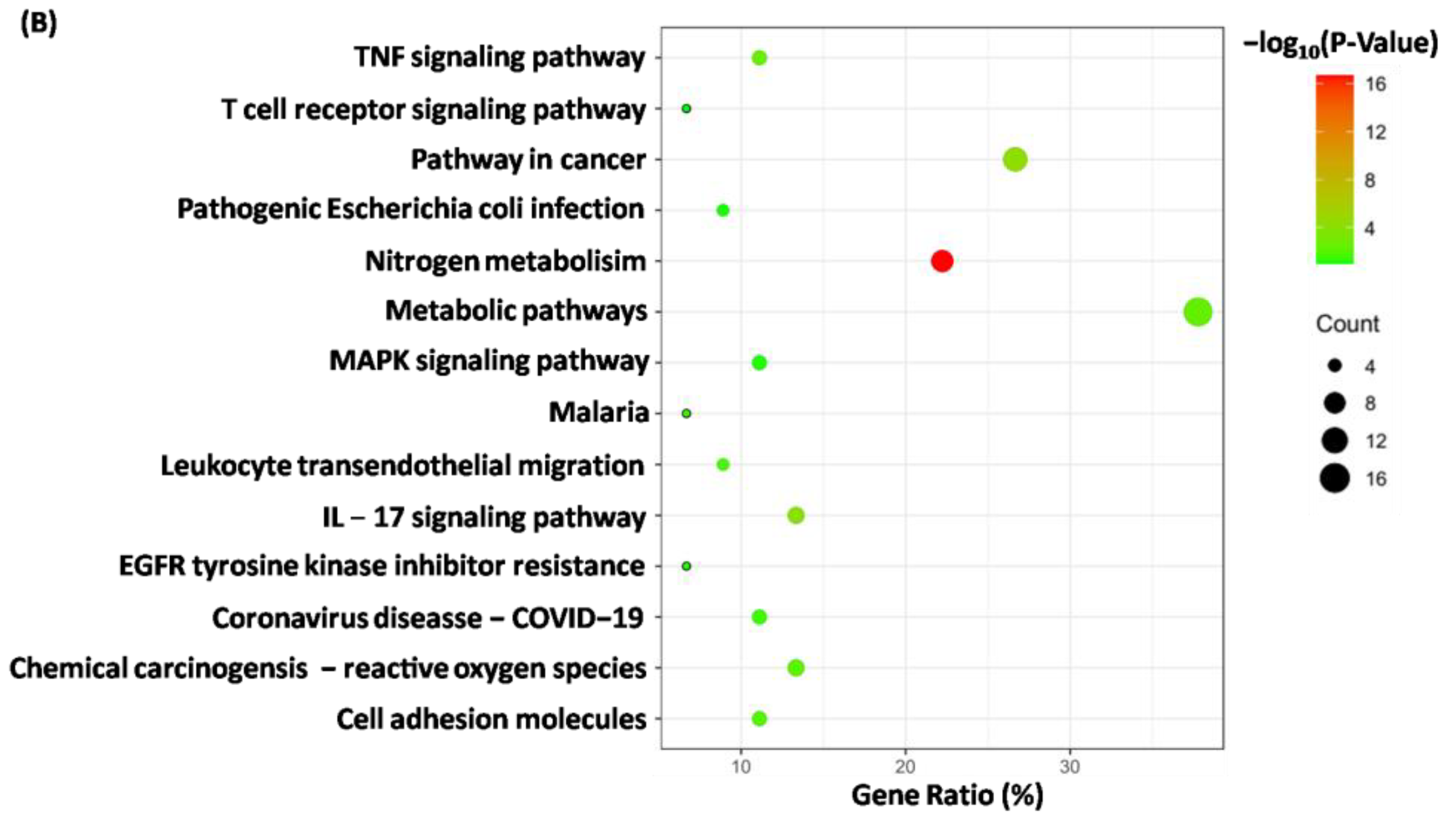 Molecules 28 01444 g007b Molecules 28 01444 g007b