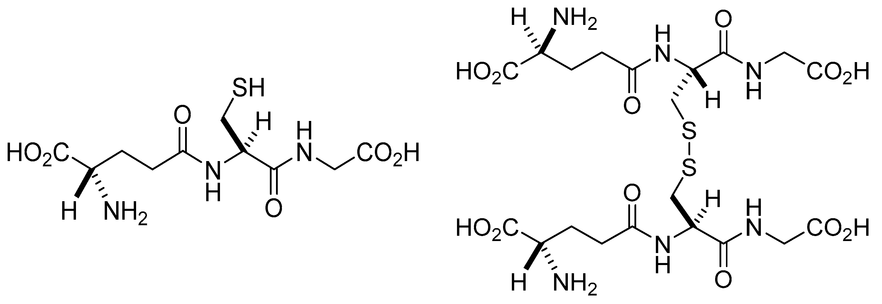 Molecules 28 01447 g001