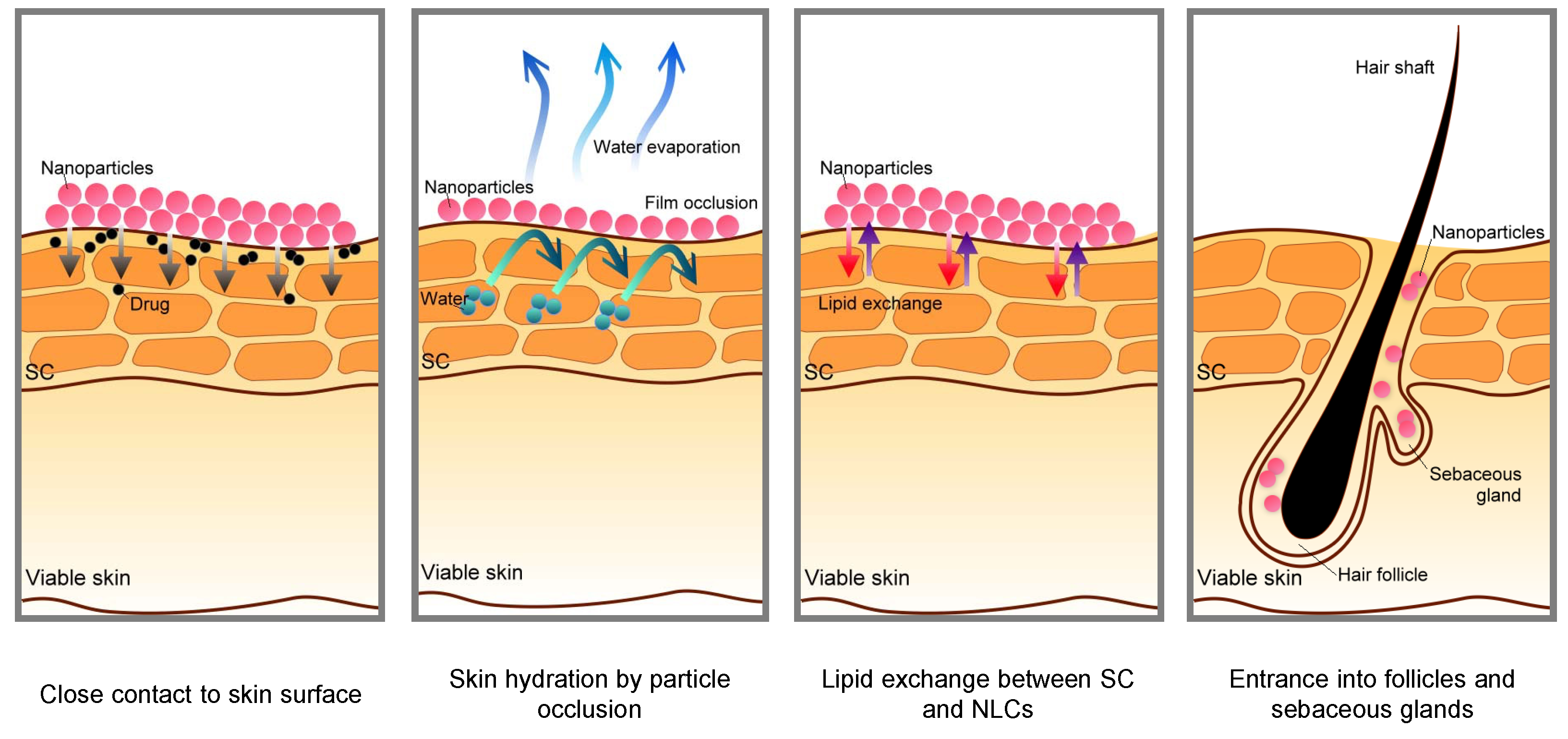 Molecules 28 01449 g002 Molecules 28 01449 g002