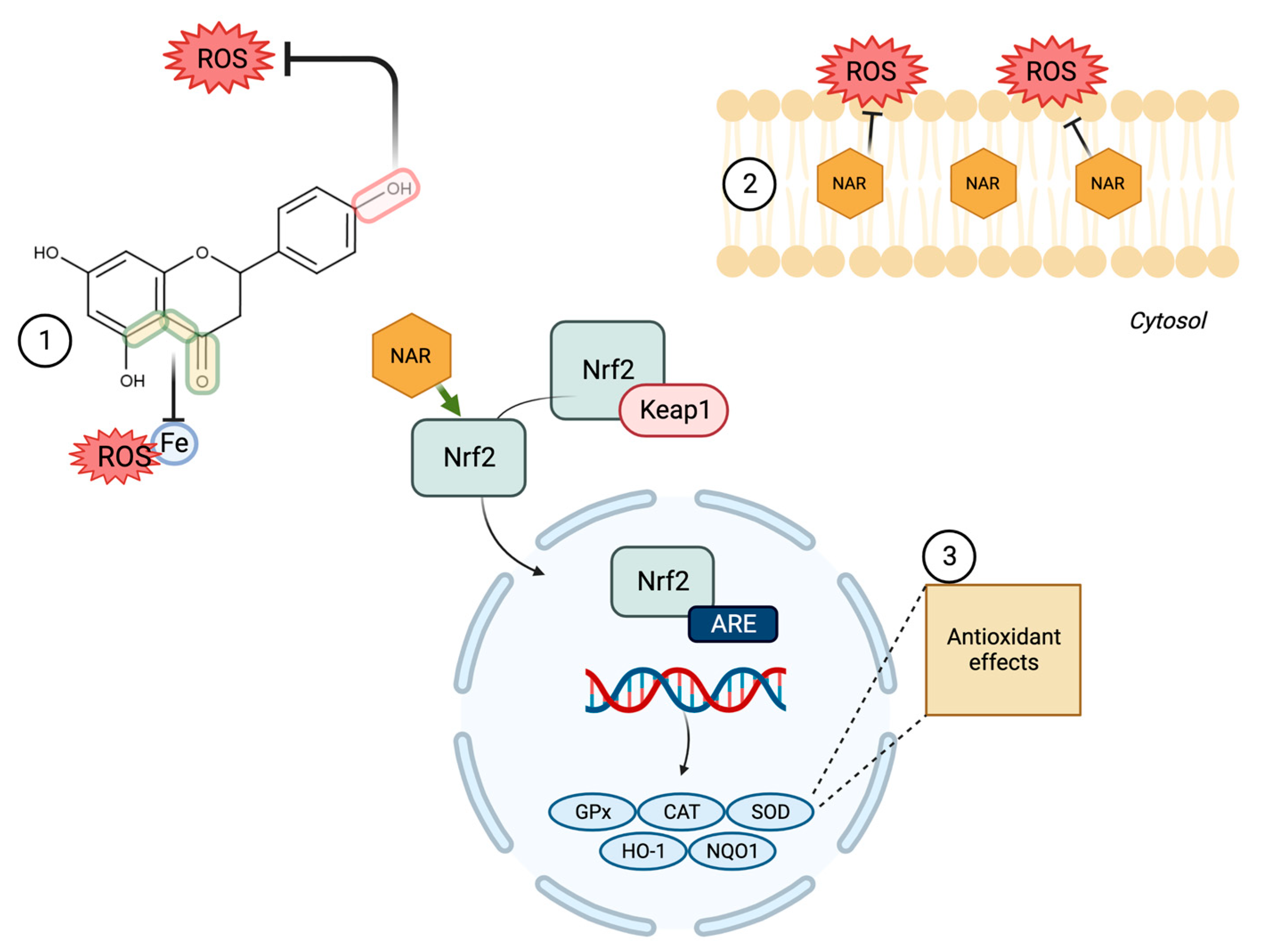 Molecules 28 01450 g002