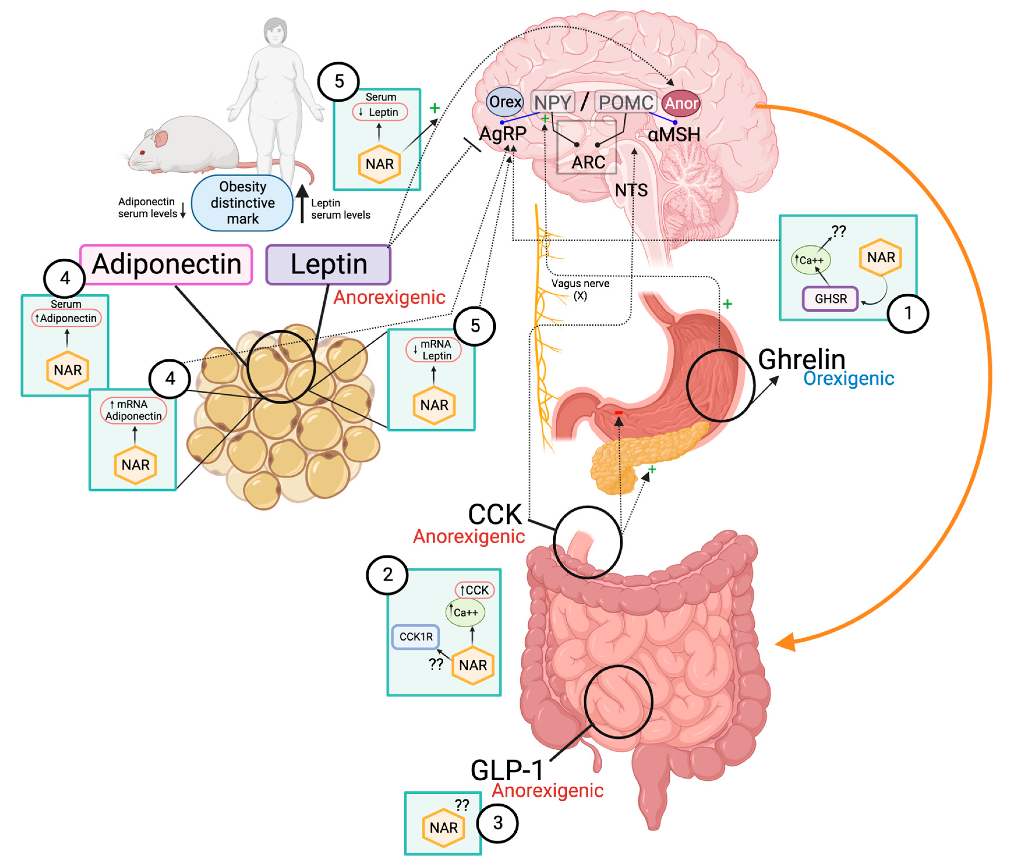 Molecules 28 01450 g003