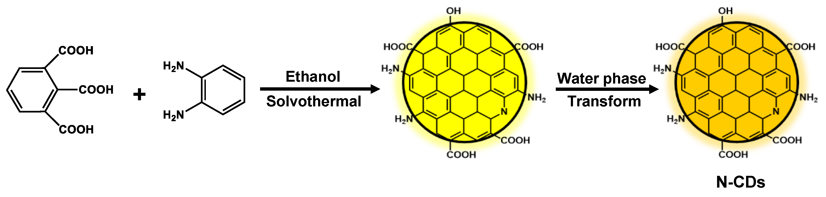 Molecules 28 01451 g001