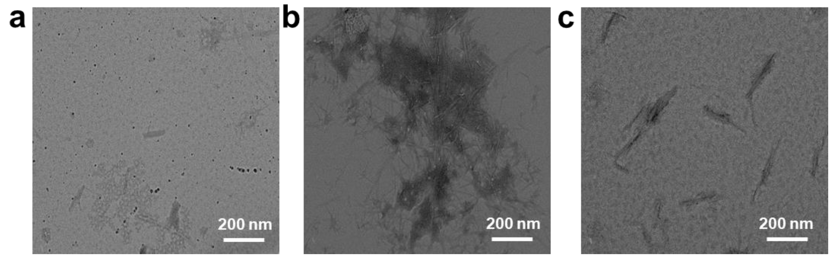 Molecules 28 01451 g005