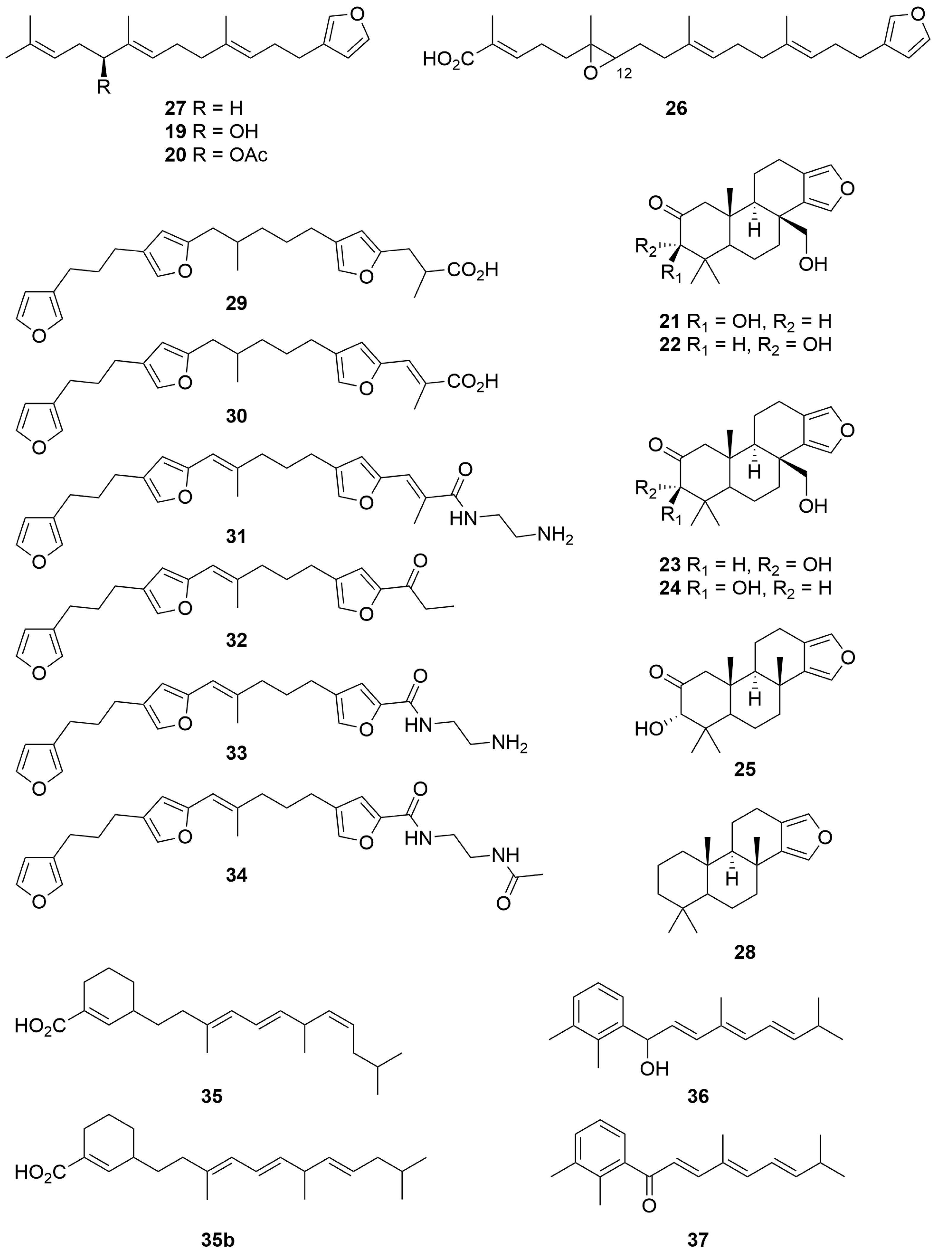 Molecules 28 01452 g002 Molecules 28 01452 g002