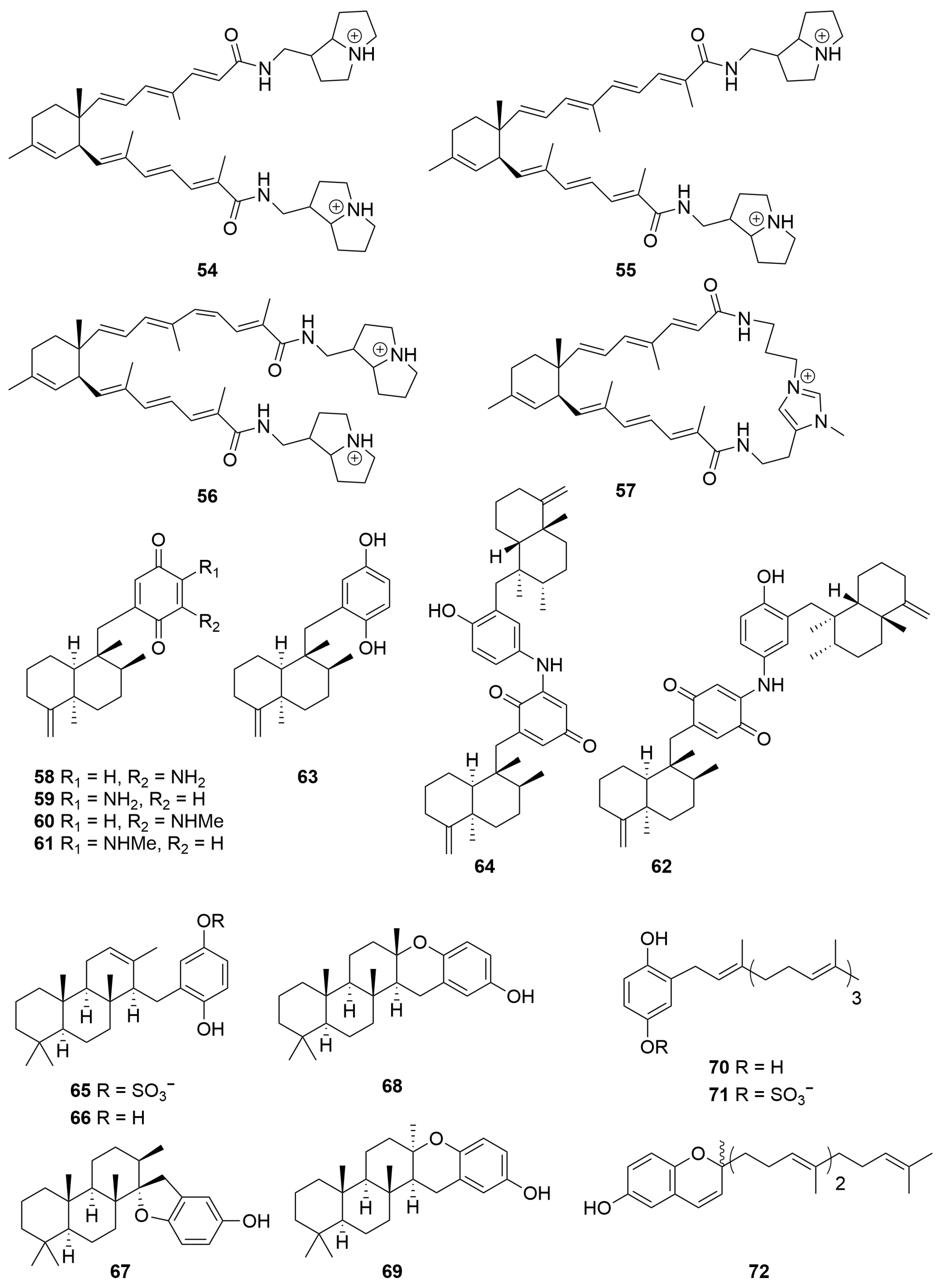 Molecules 28 01452 g004 Molecules 28 01452 g004