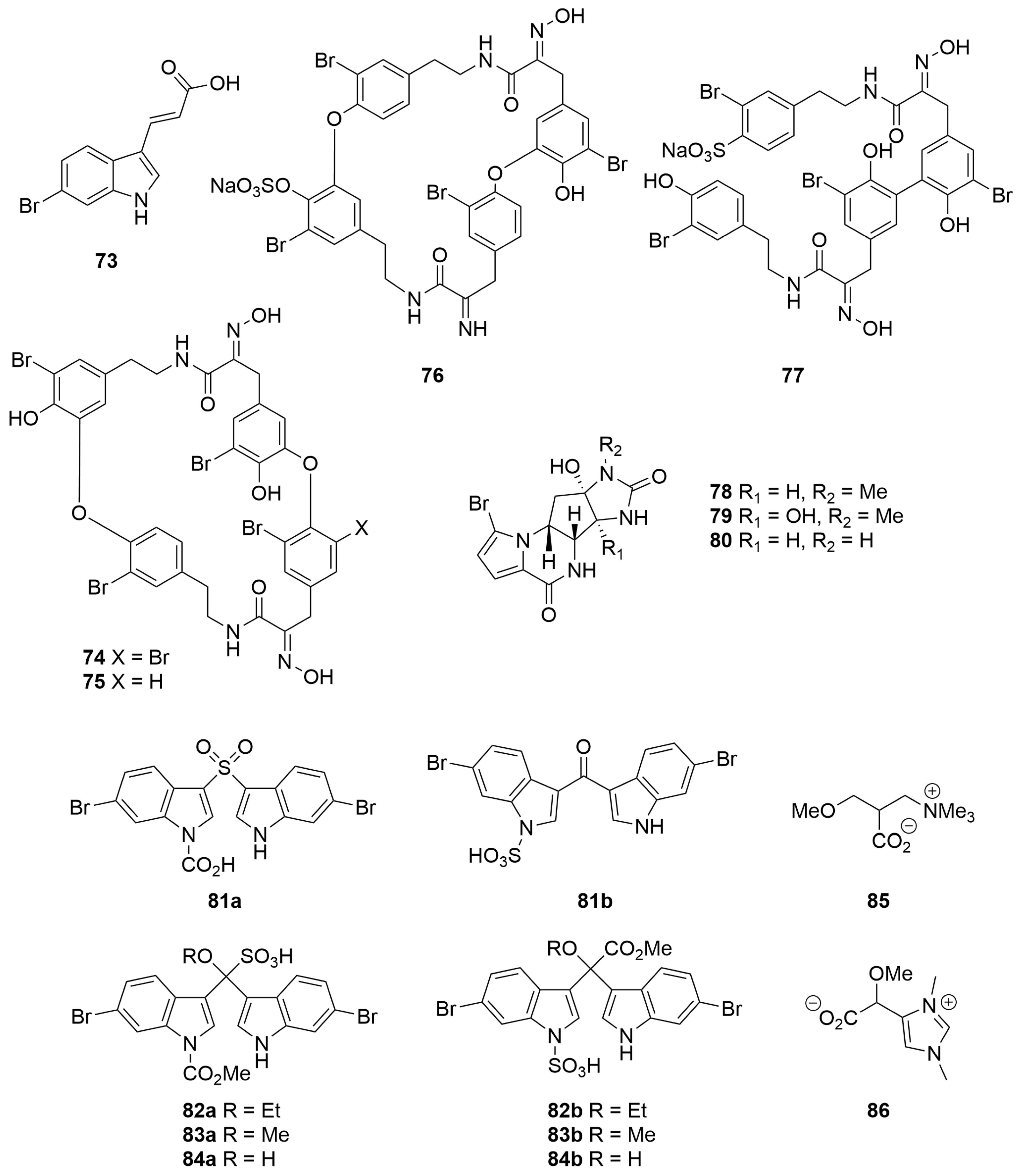 Molecules 28 01452 g005 Molecules 28 01452 g005