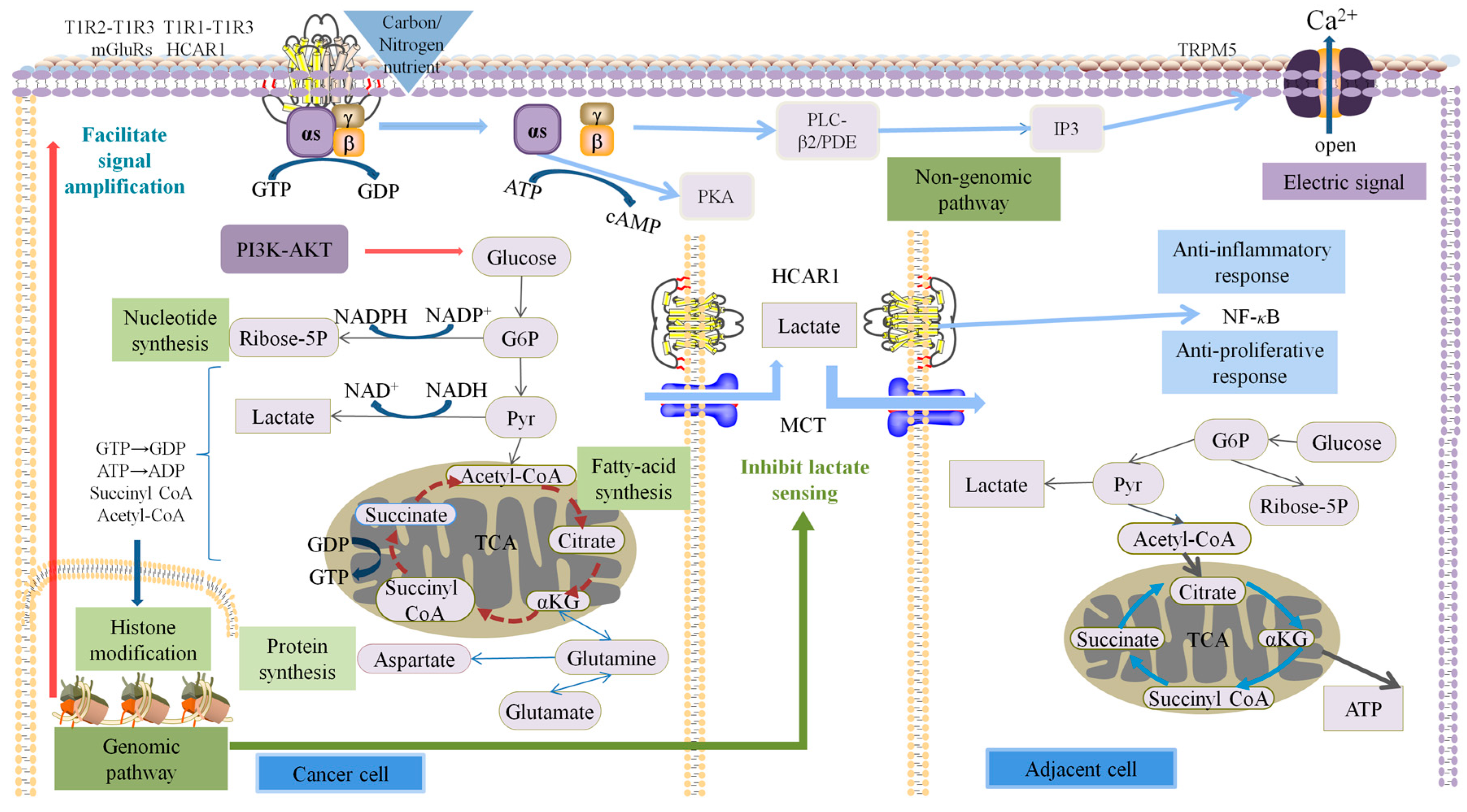 Molecules 28 01453 g007 Molecules 28 01453 g007