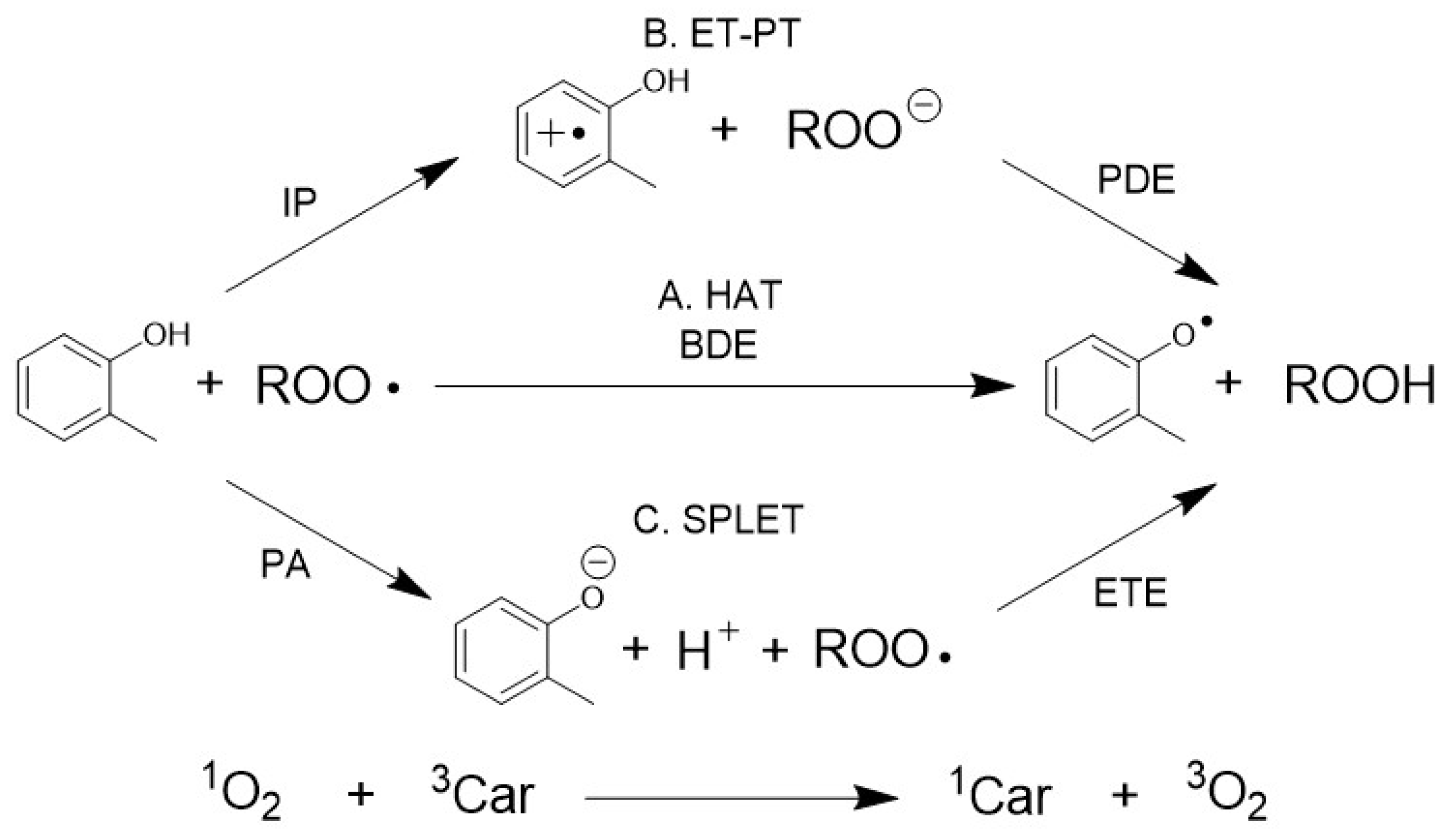 Molecules 28 01454 g001