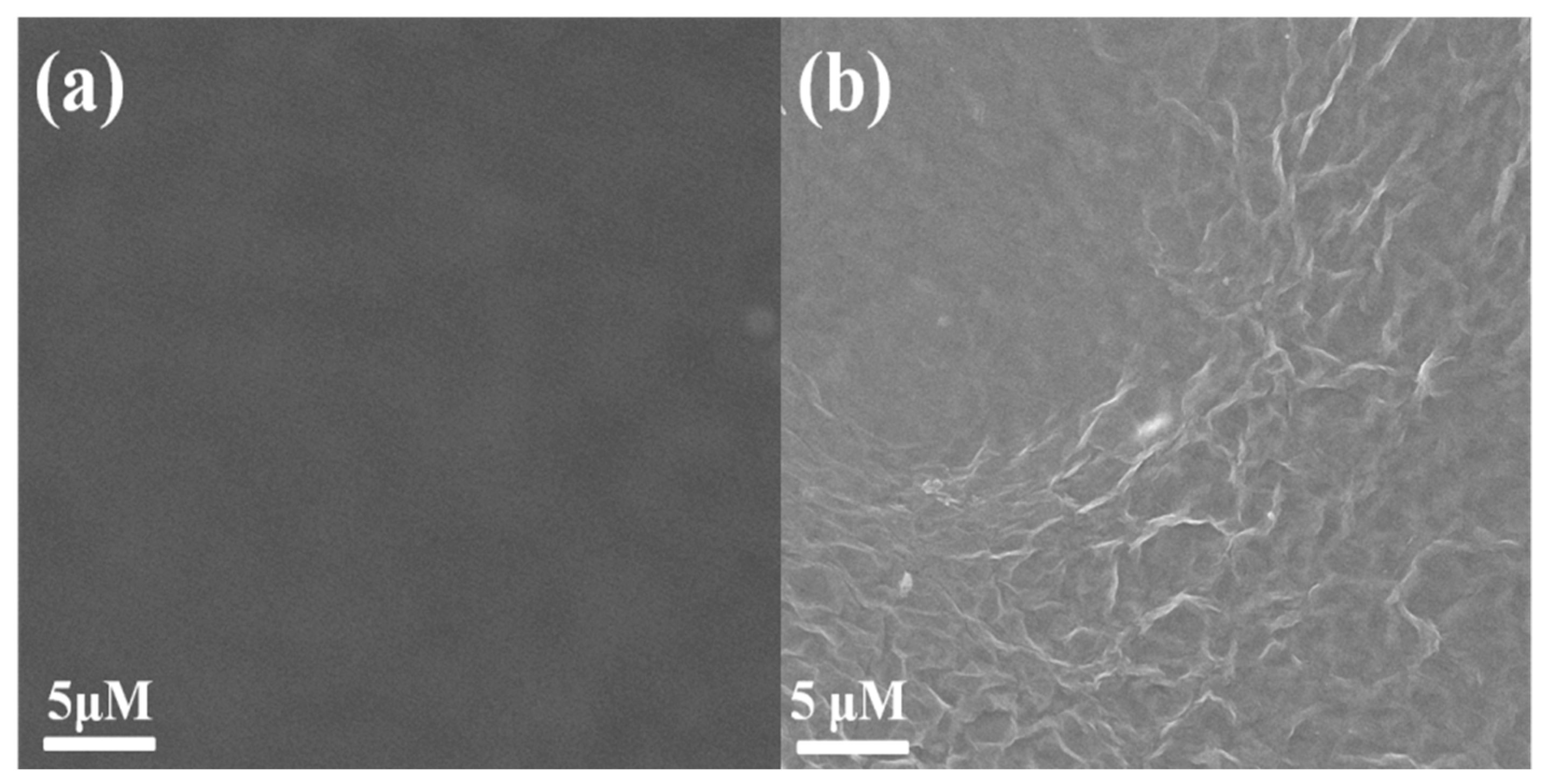 Molecules 28 01458 g002