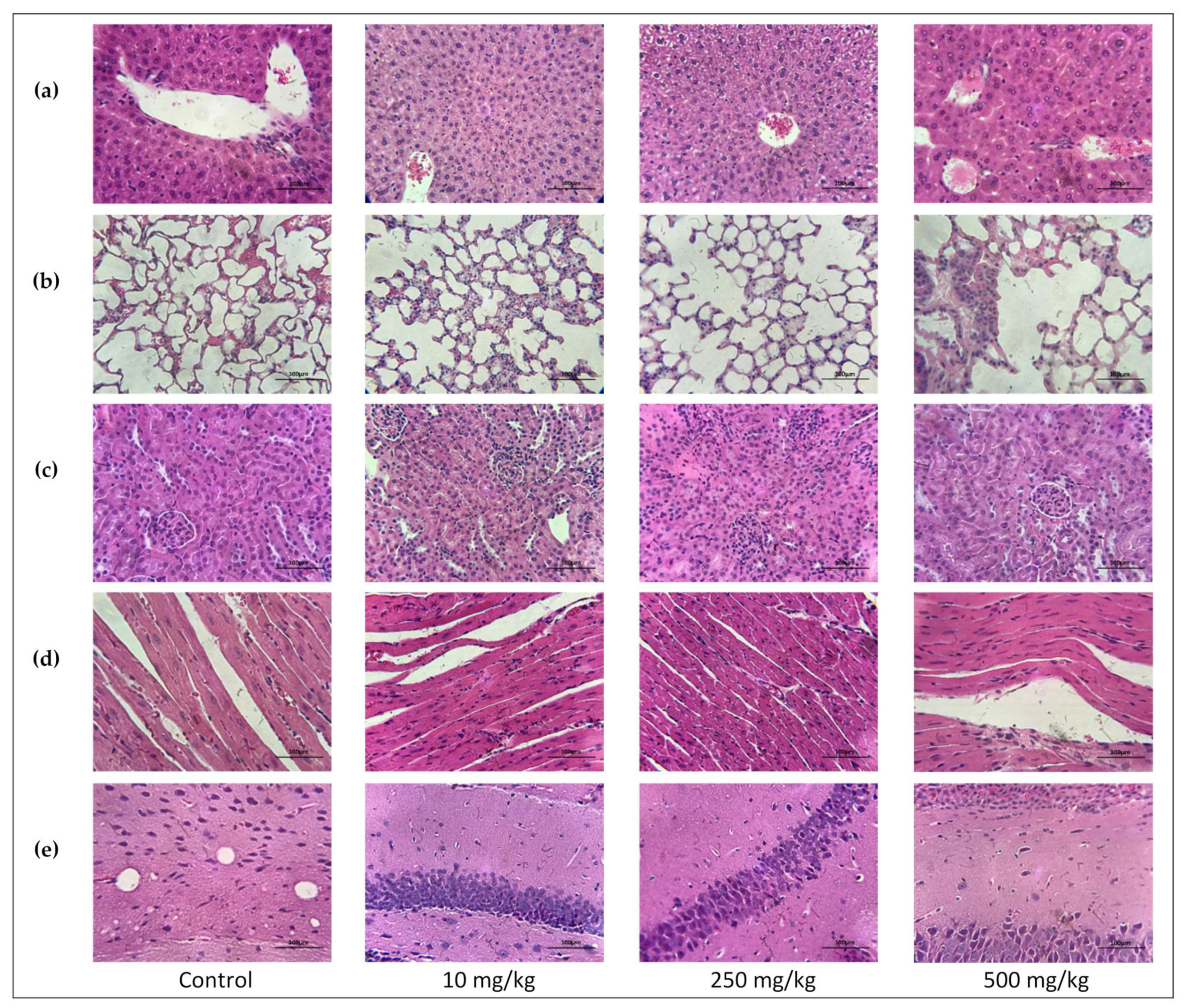 Molecules 28 01460 g009