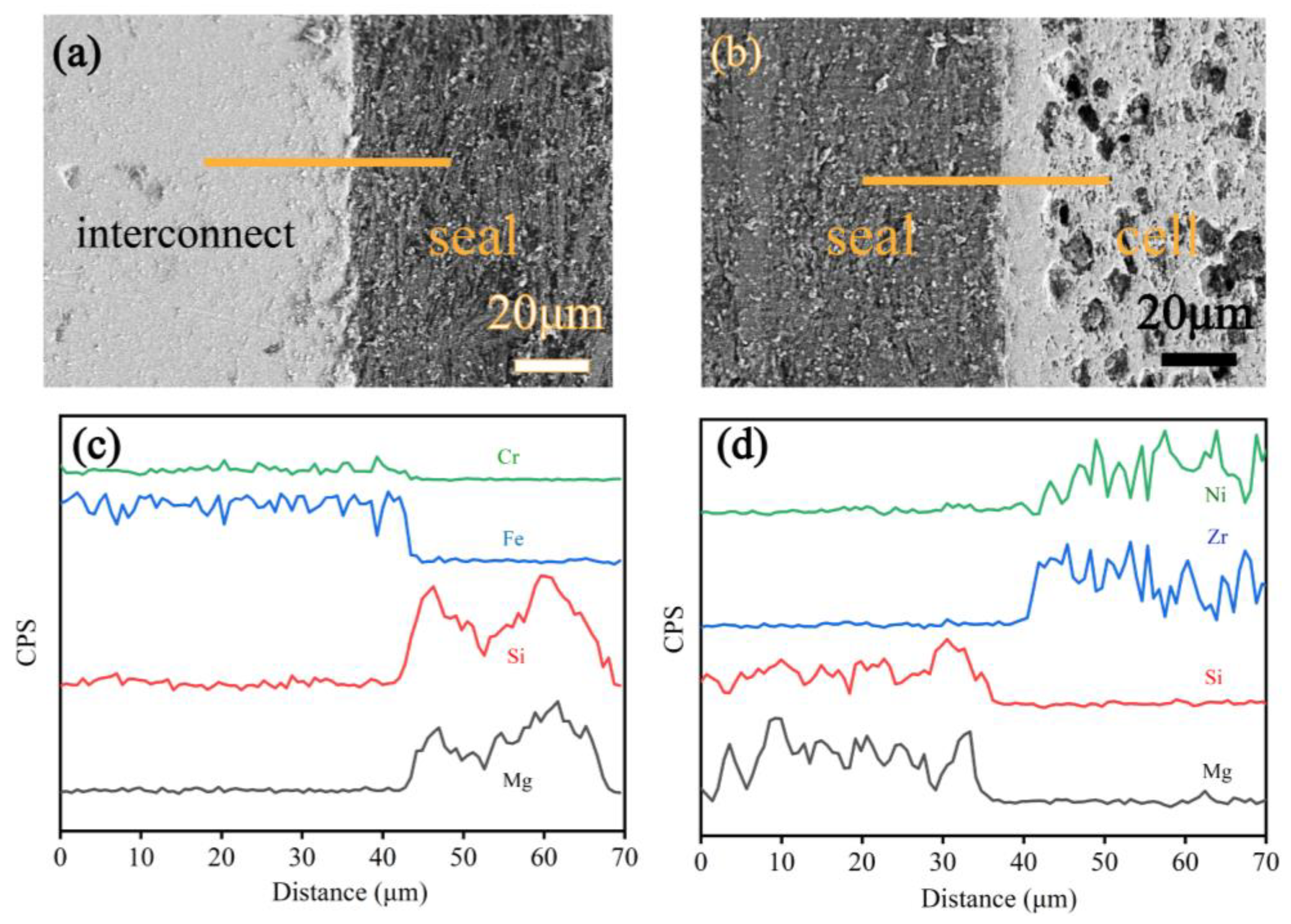 Molecules 28 01462 g006