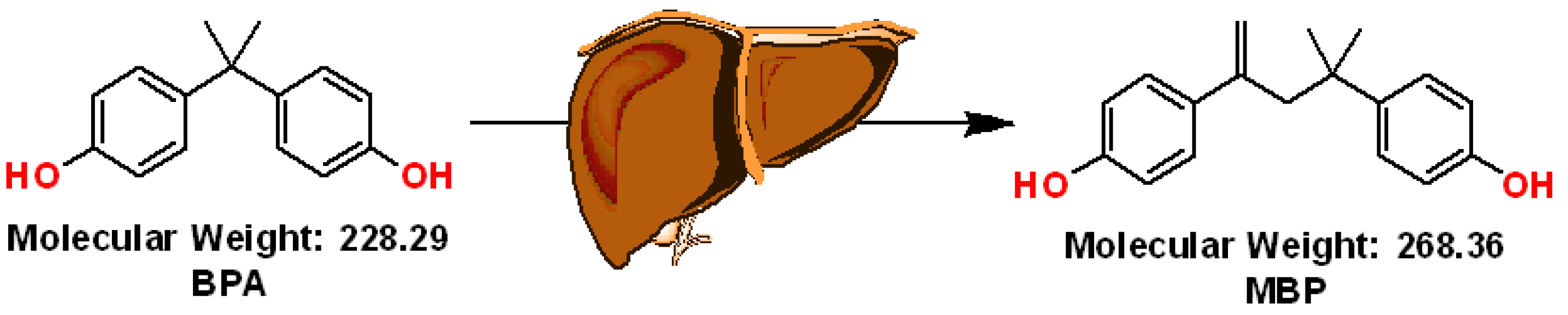 Molecules 28 01465 g001