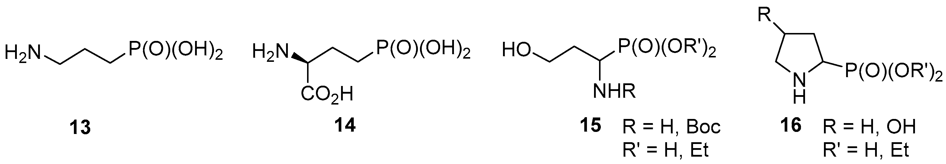 Molecules 28 01466 g003