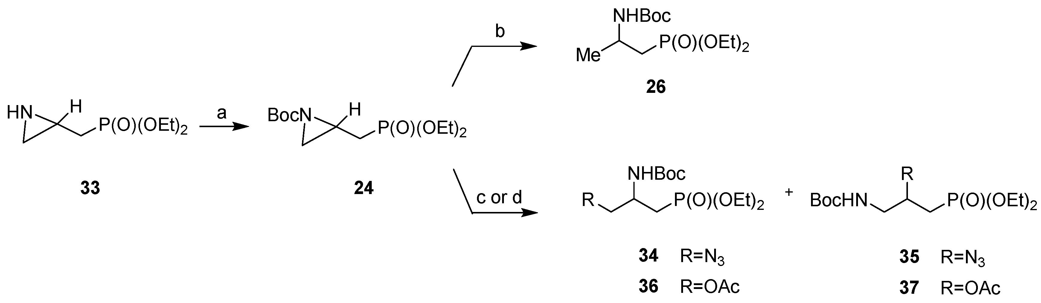 Molecules 28 01466 sch004