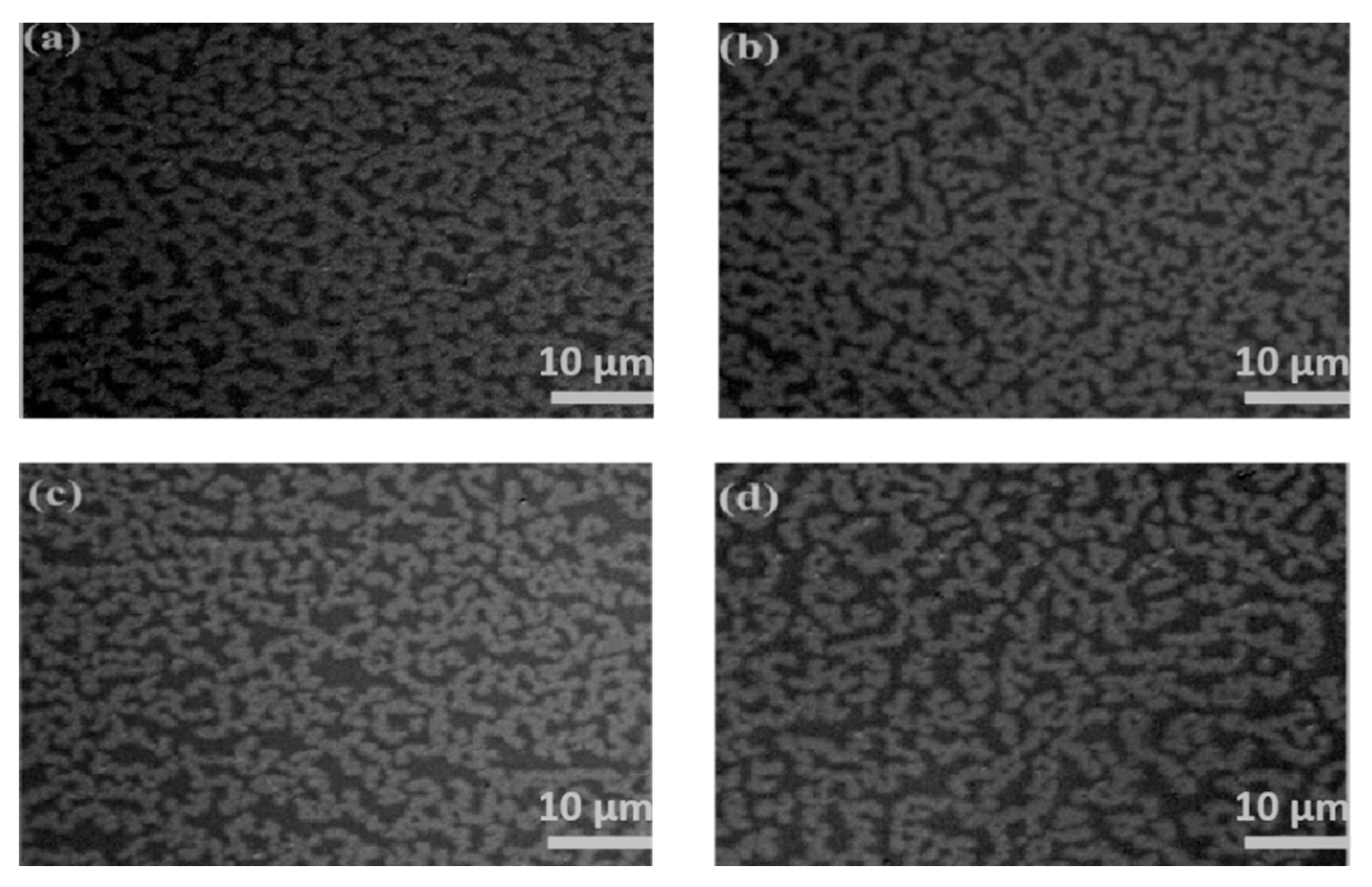 Molecules 28 01472 g002 Molecules 28 01472 g002