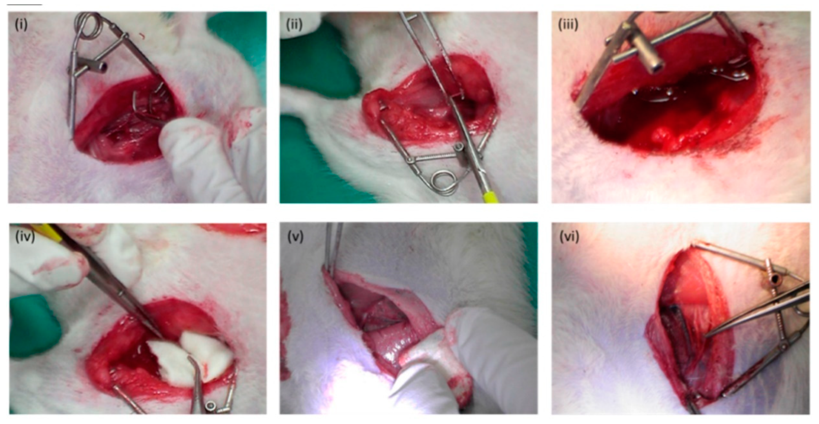 Molecules 28 01473 g002