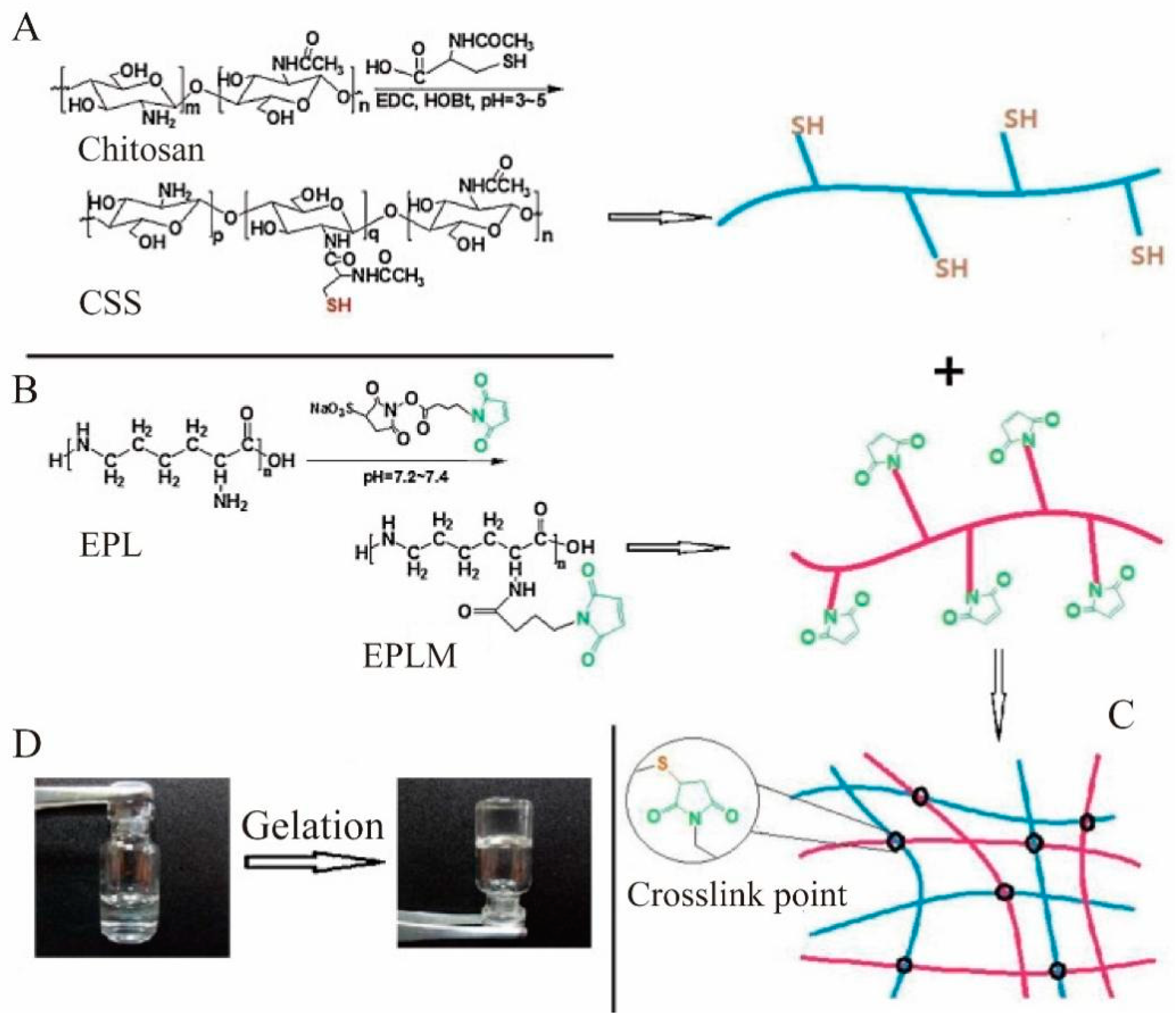 Molecules 28 01473 g003
