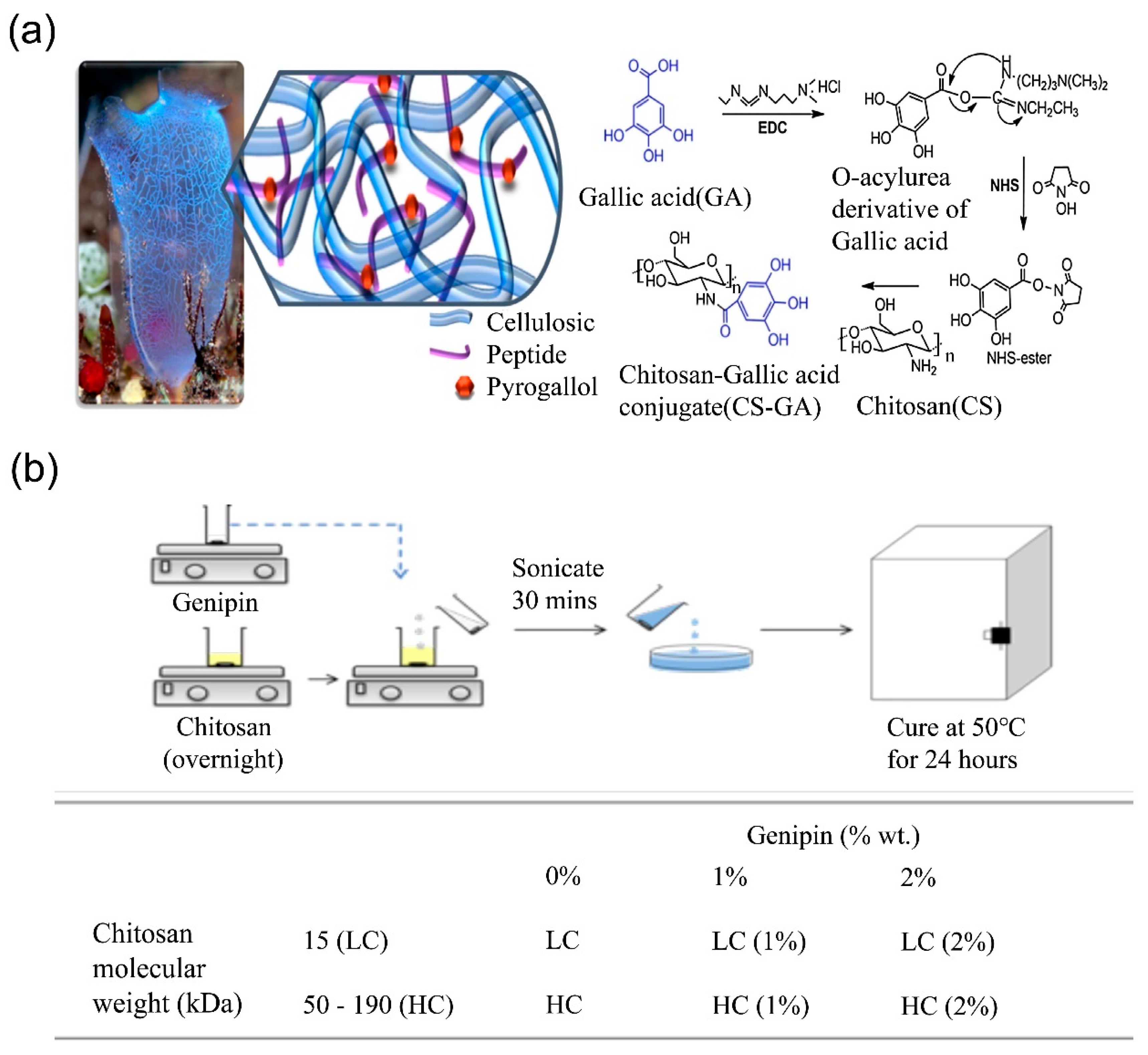 Molecules 28 01473 g005