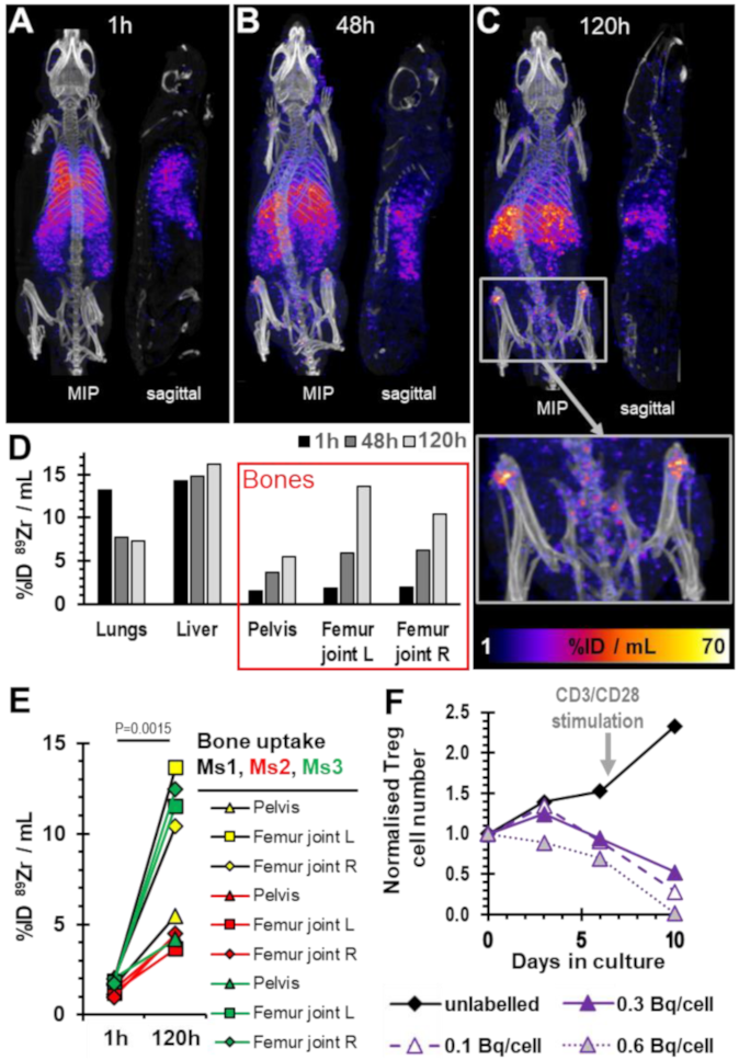 Molecules 28 01482 g005